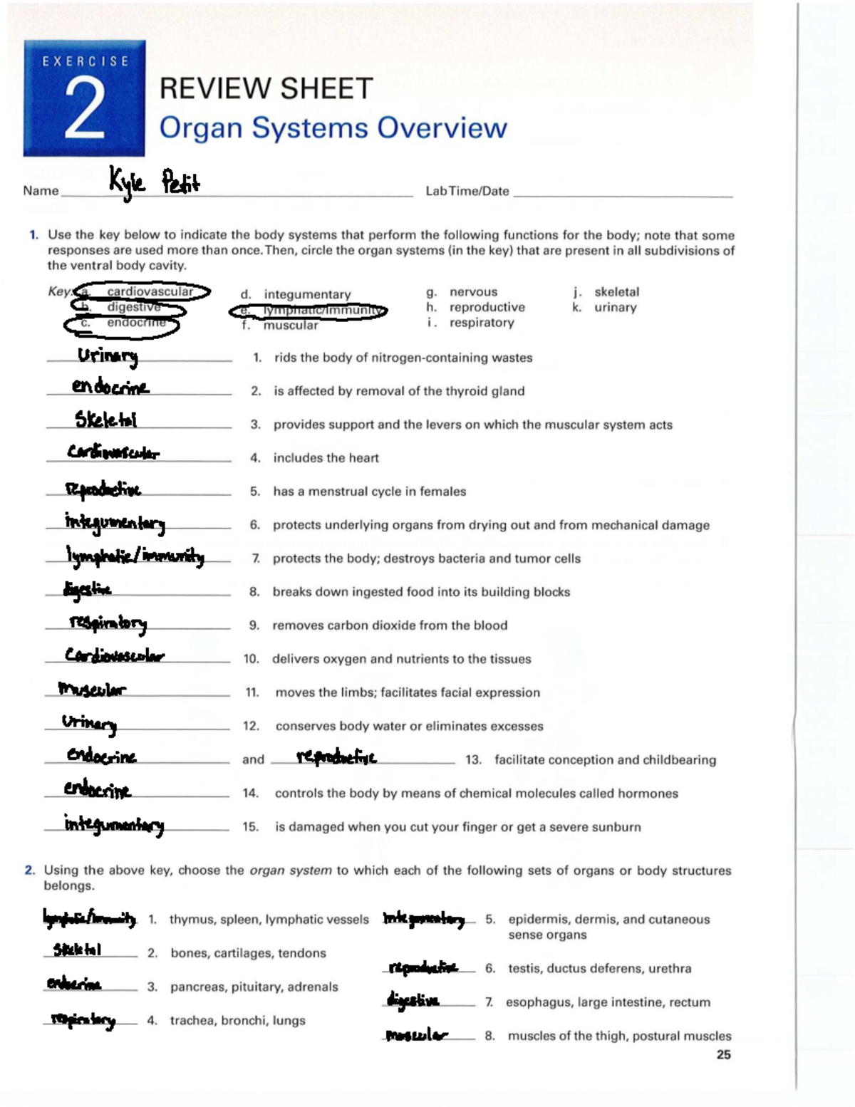 Ex2 Organ Systems Overview Work Sheet BI_422 Studocu