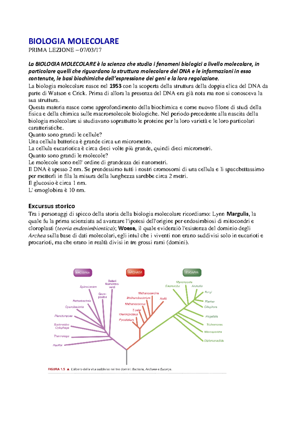 Lez 1 Bio Mol - Biologia Molecolare - BIOLOGIA MOLECOLARE PRIMA LEZIONE ...