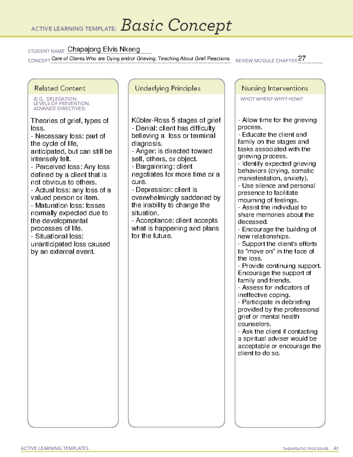 Ati Basic Concept Template Grief Loss And Palliative Care