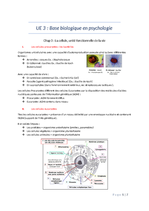 CM9 Bases Biologiques En Psychologie - ) Somesthésiques : Proprioceptif ...