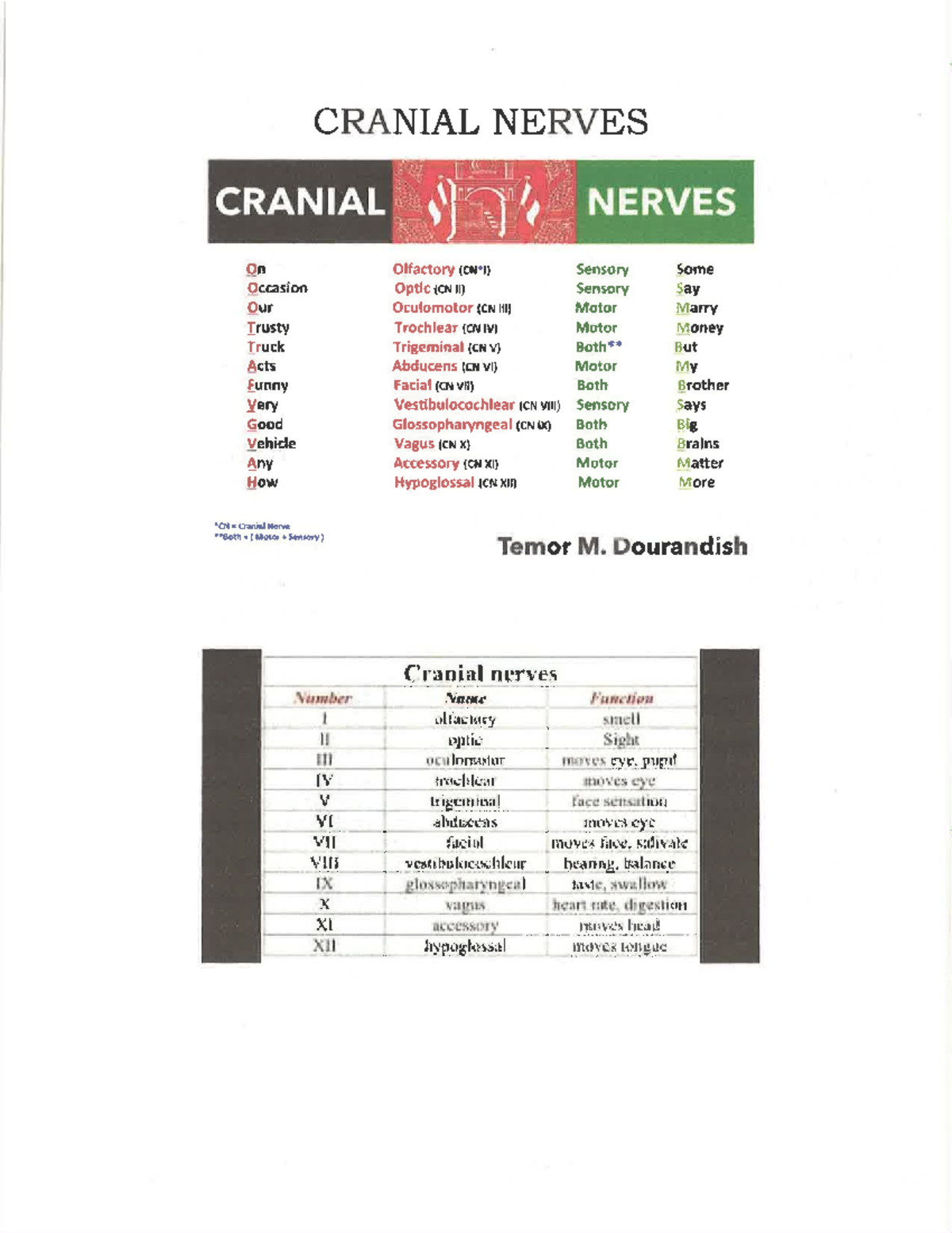 Cranial Nerves - NUR2214 - Studocu