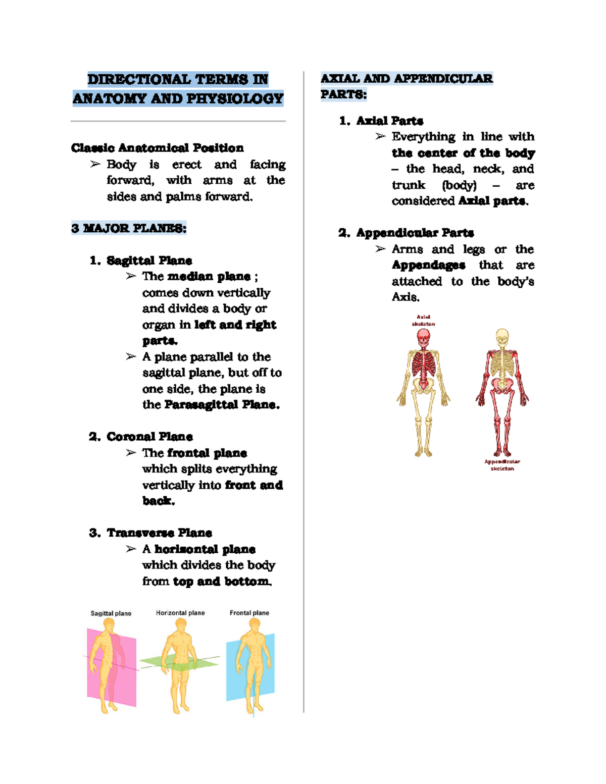 directional-terms-directional-terms-in-anatomy-and-physiology