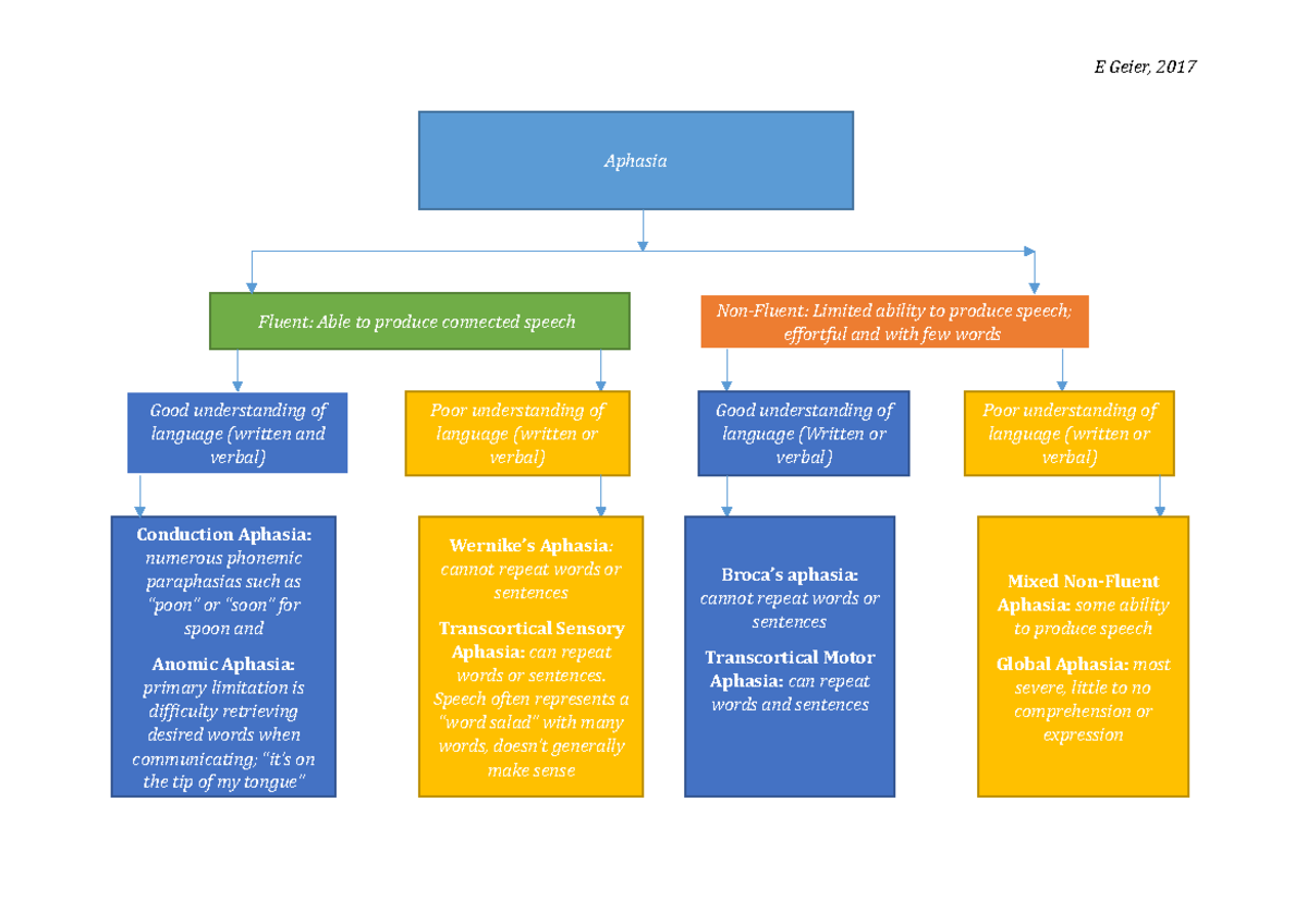 Aphasia summary Flowchart - E Geier, 2017 Mixed Non-Fluent Aphasia