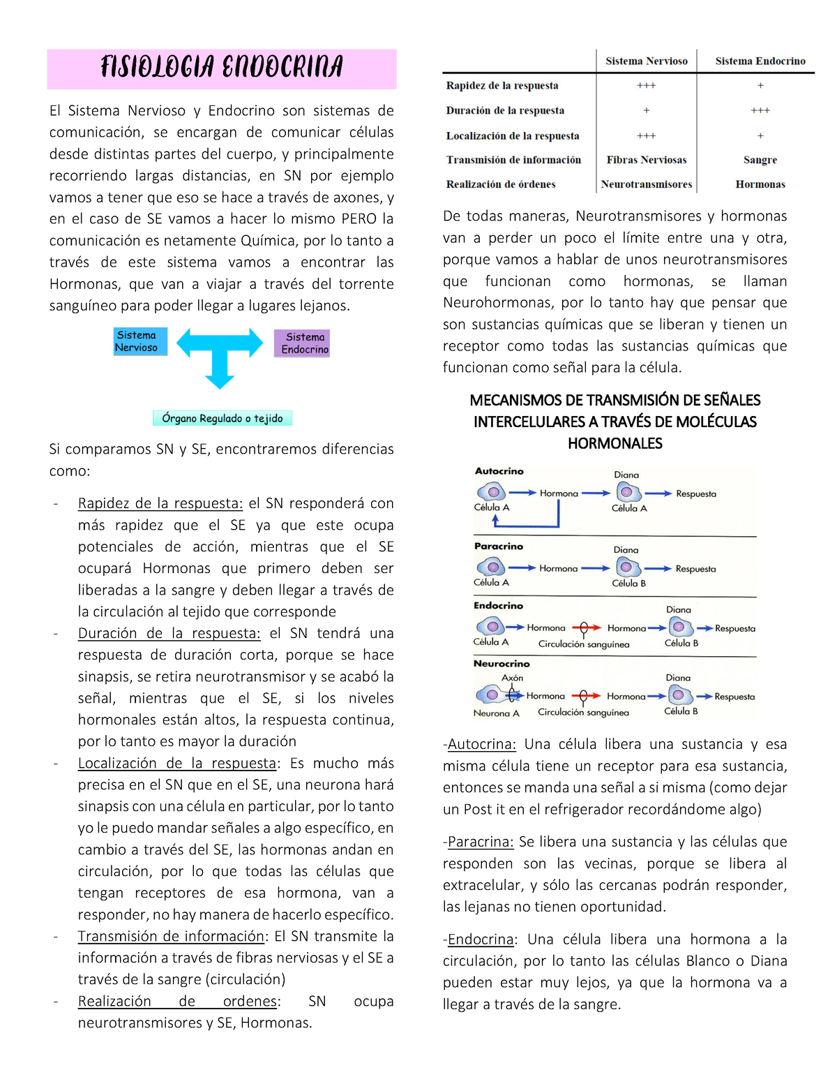 Transcrito De Clase Número 5 De Fisiología Endocrina Enfermería Fisiologia Endocrina El 5529