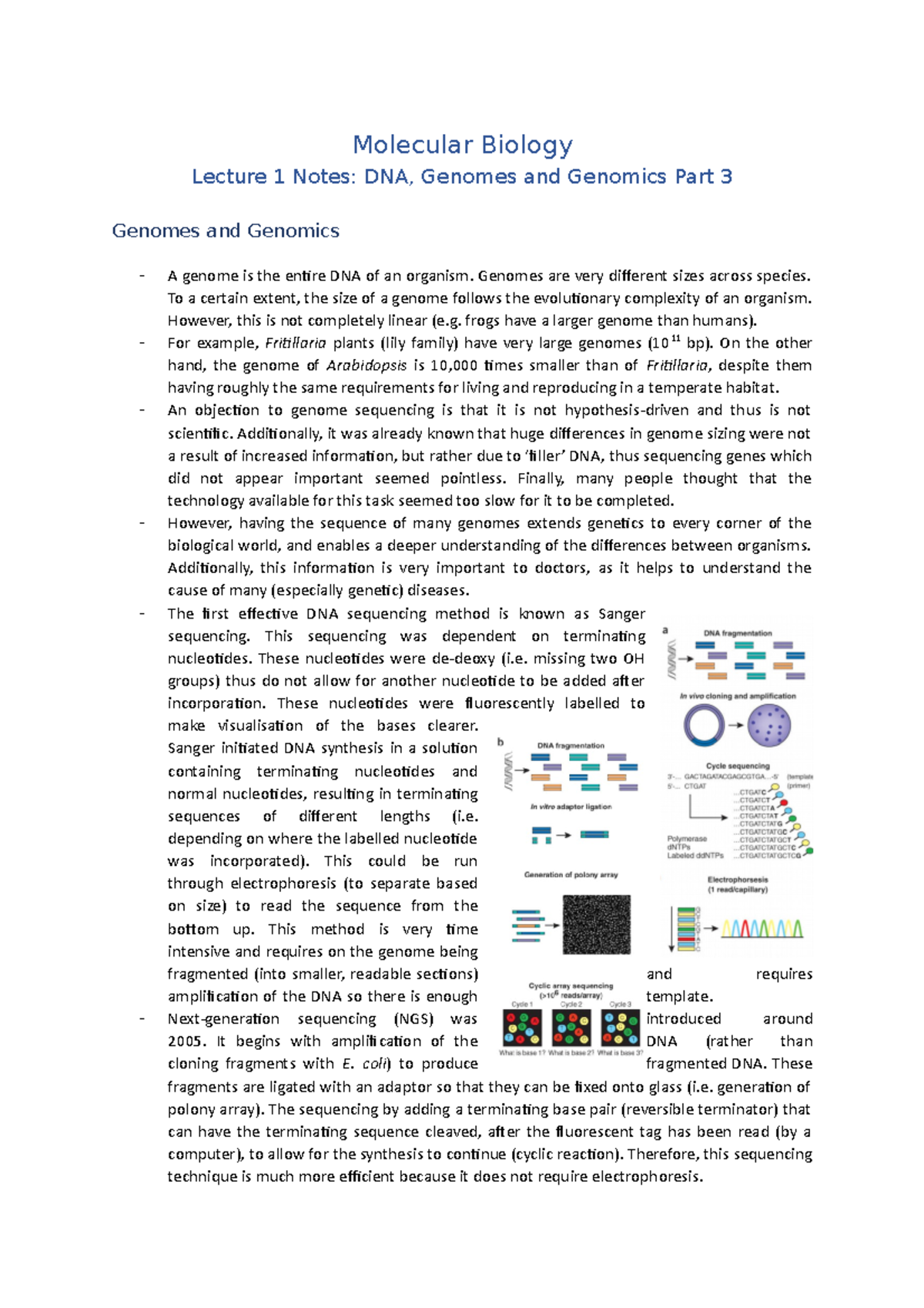 Lecture 1 Notes (DNA, Genomes And Genomics Part 3) - Molecular Biology ...