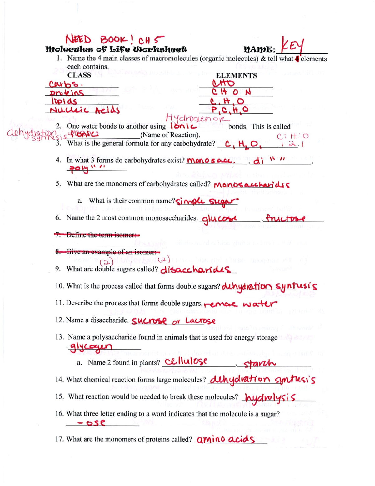 Molecules of Life Key - Just got back from the war in the car and got ...