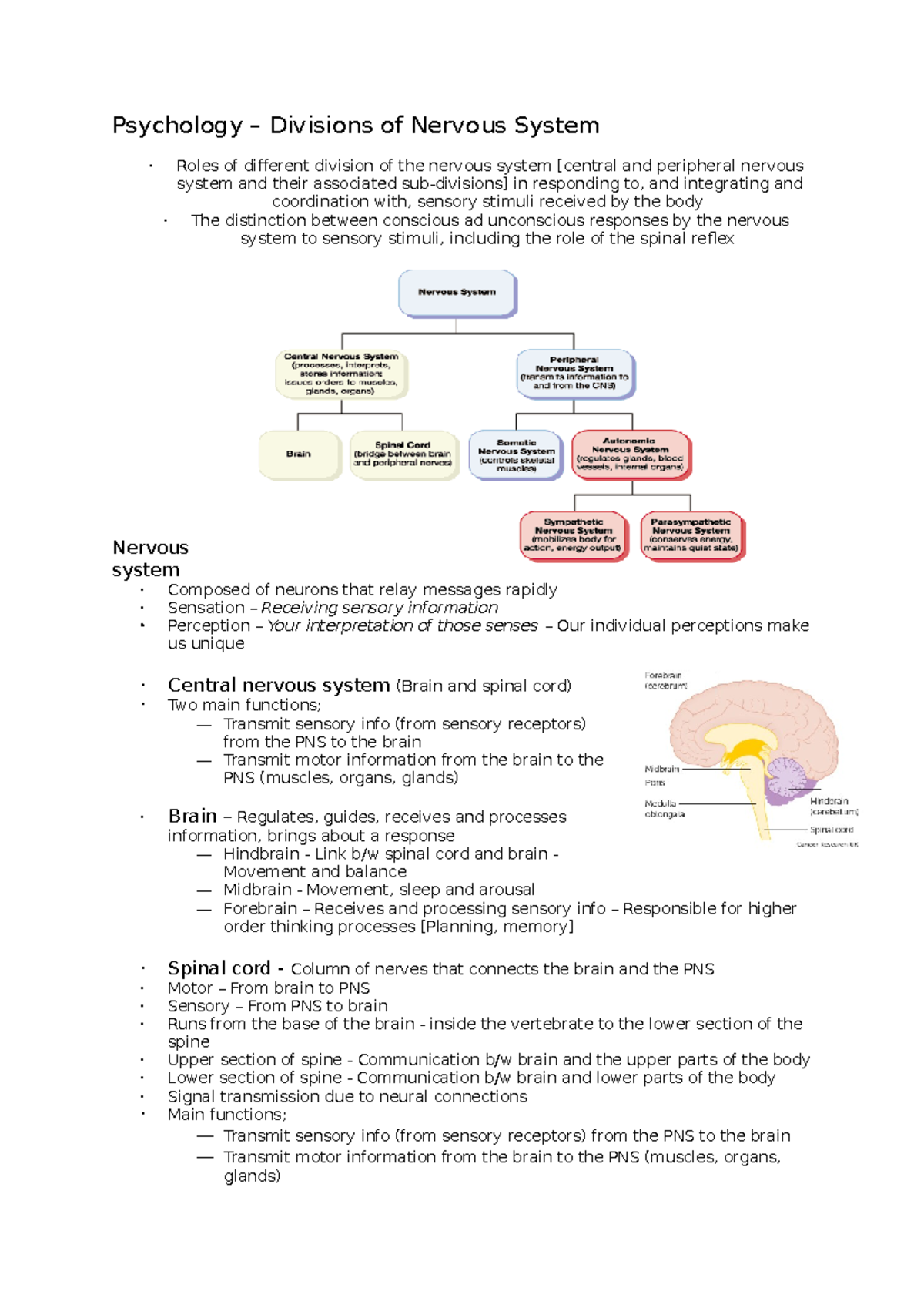 Psych - Nervous System - Psychology Divisions of Nervous System Roles ...