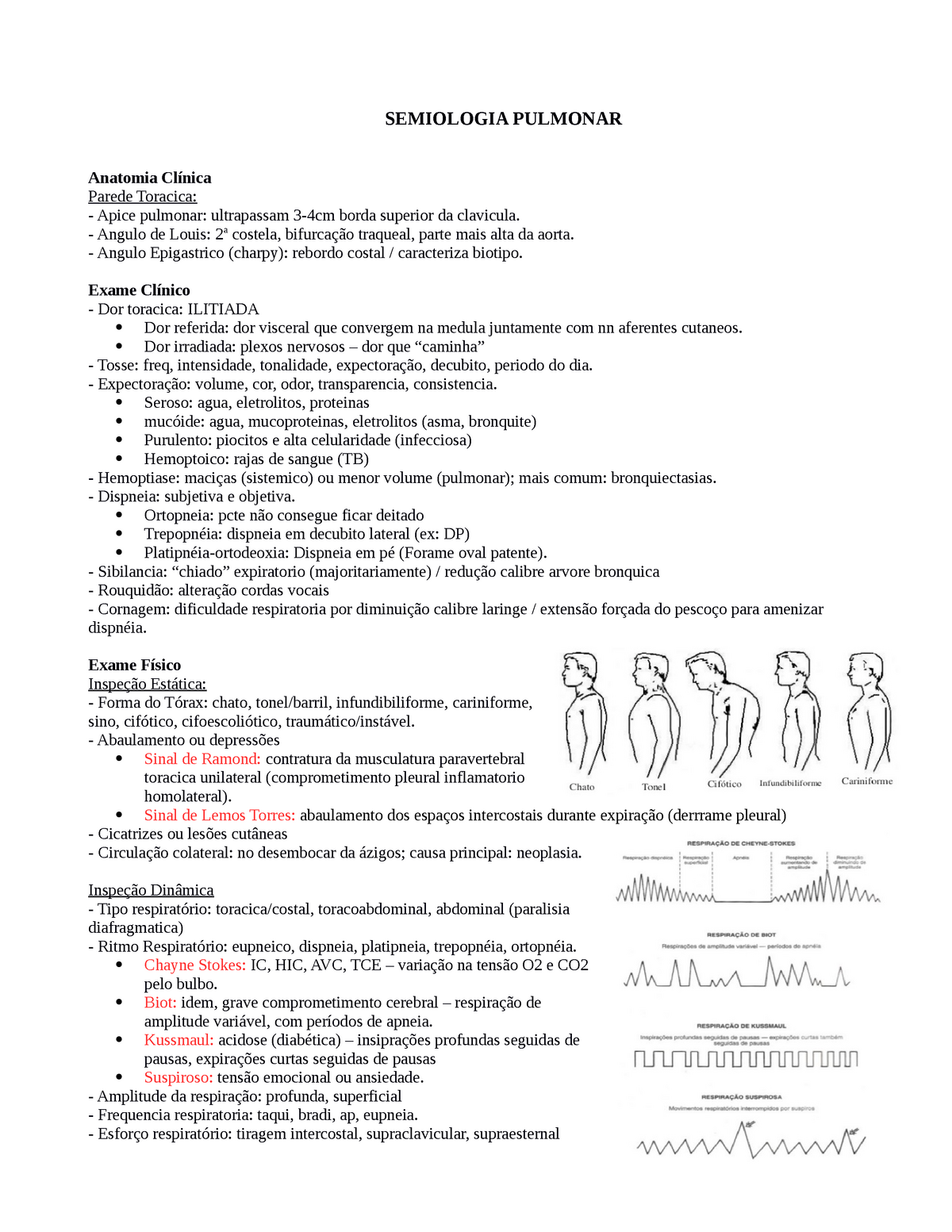 Cartões: SEMIOLOGIA 2 - SEMANA 1 - AULA 1 - ABDOMEN: Anatomía y fisiología