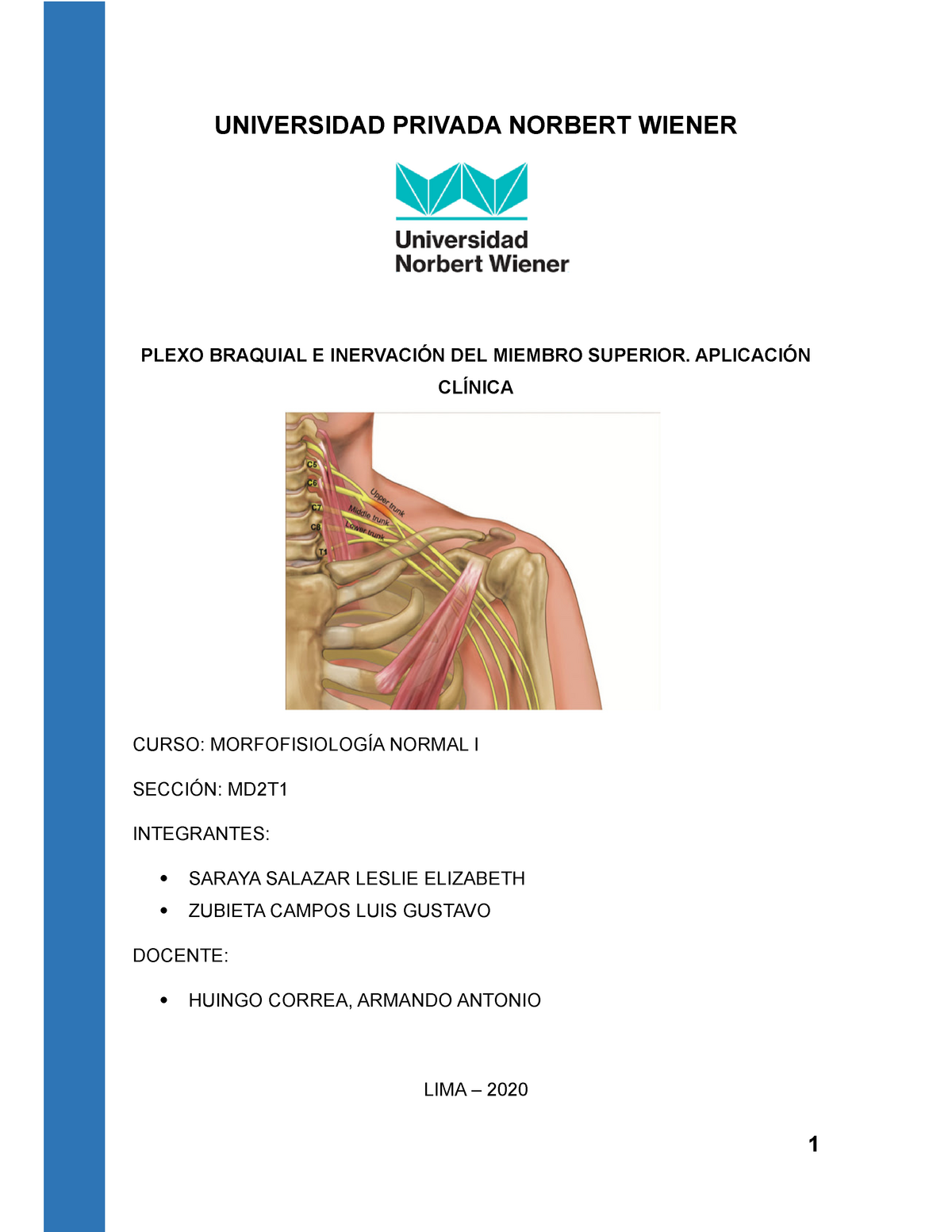Monografia Nº2 Plexo Braquial - UNIVERSIDAD PRIVADA NORBERT WIENER ...