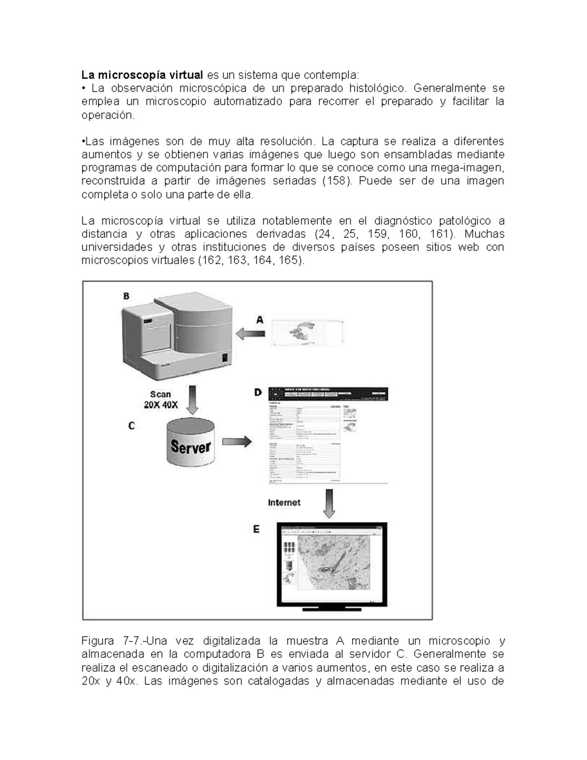 La microscopía virtual es un sistema que contempla - La microscopía ...
