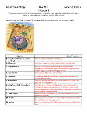 Chapter 5 Concept Check BIO 211 - Goodwin College Bio 211 Concept Check ...