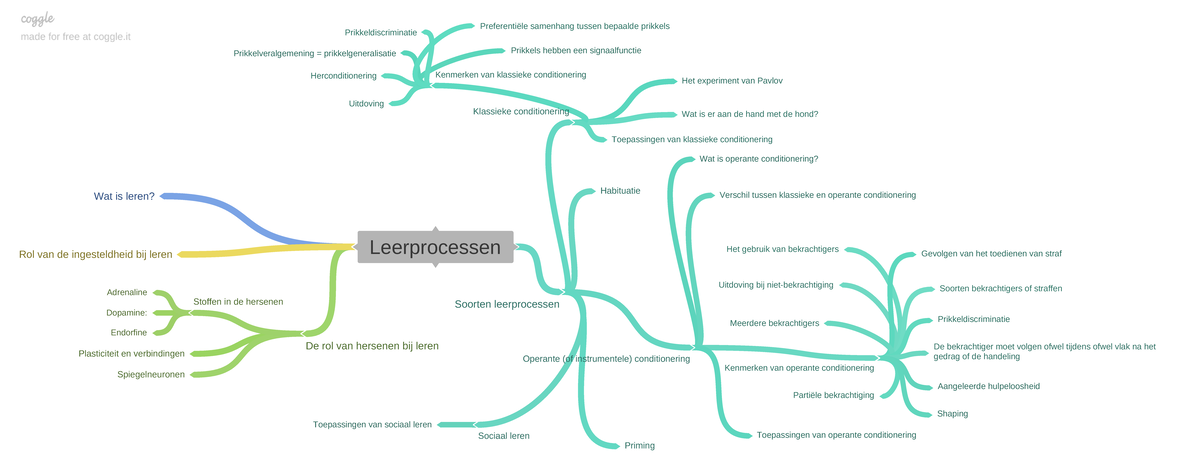 Leerprocessen - Leerprocessen Wat Is Leren? Soorten Leerprocessen ...