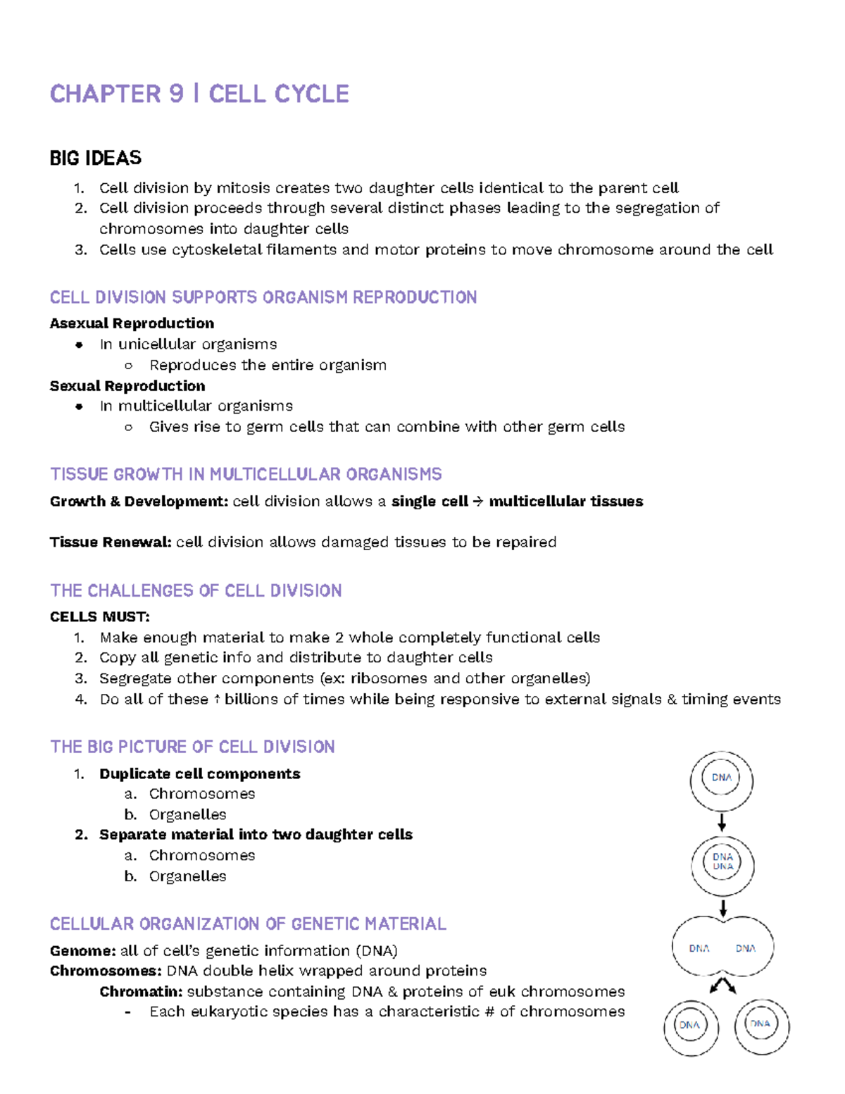 Chapter 9 Notes - CHAPTER 9 | CELL CYCLE BIG IDEAS Cell division by ...