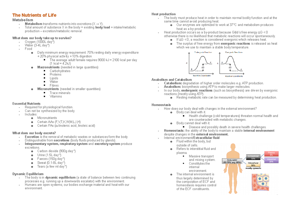 Lecture Nutrients Of Life - The Nutrients of Life Metabolism ...