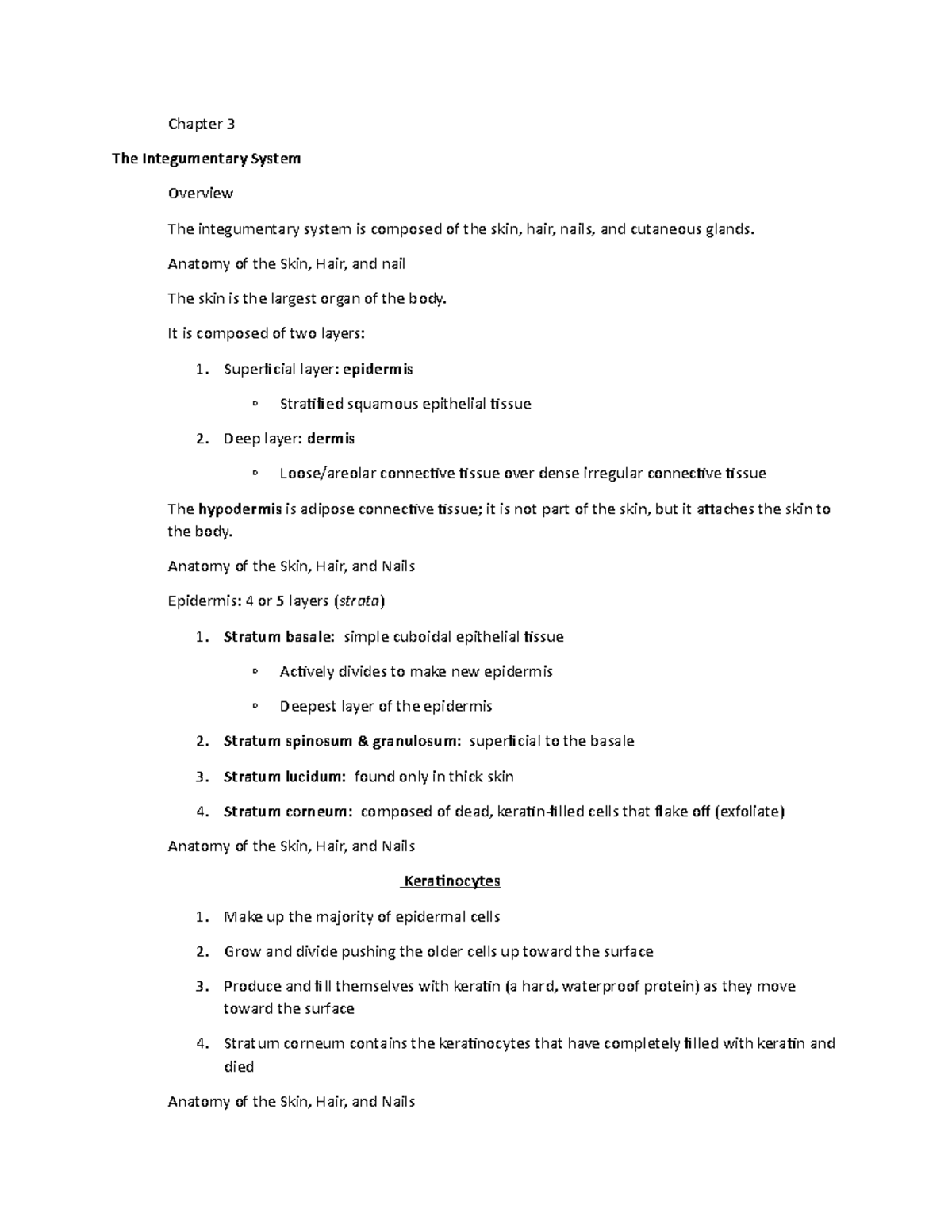 3 - Integumentary - Chapter 3 The Integumentary System Overview The ...