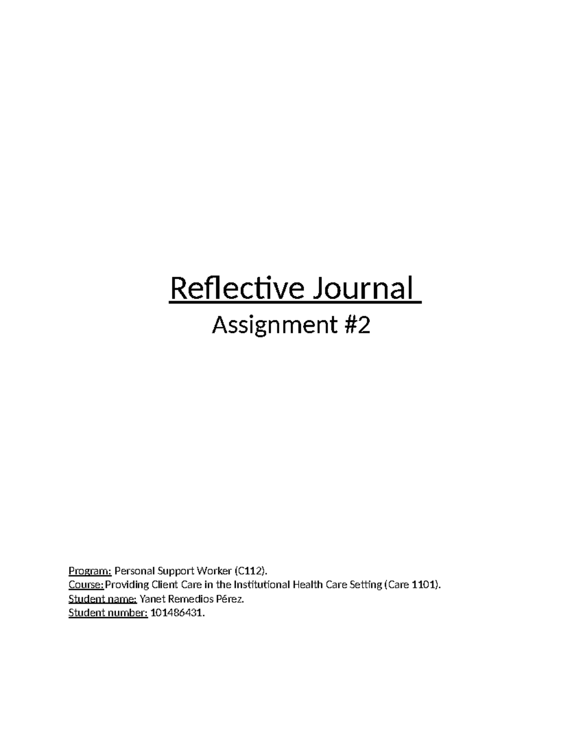 reflective journal assignment pdf