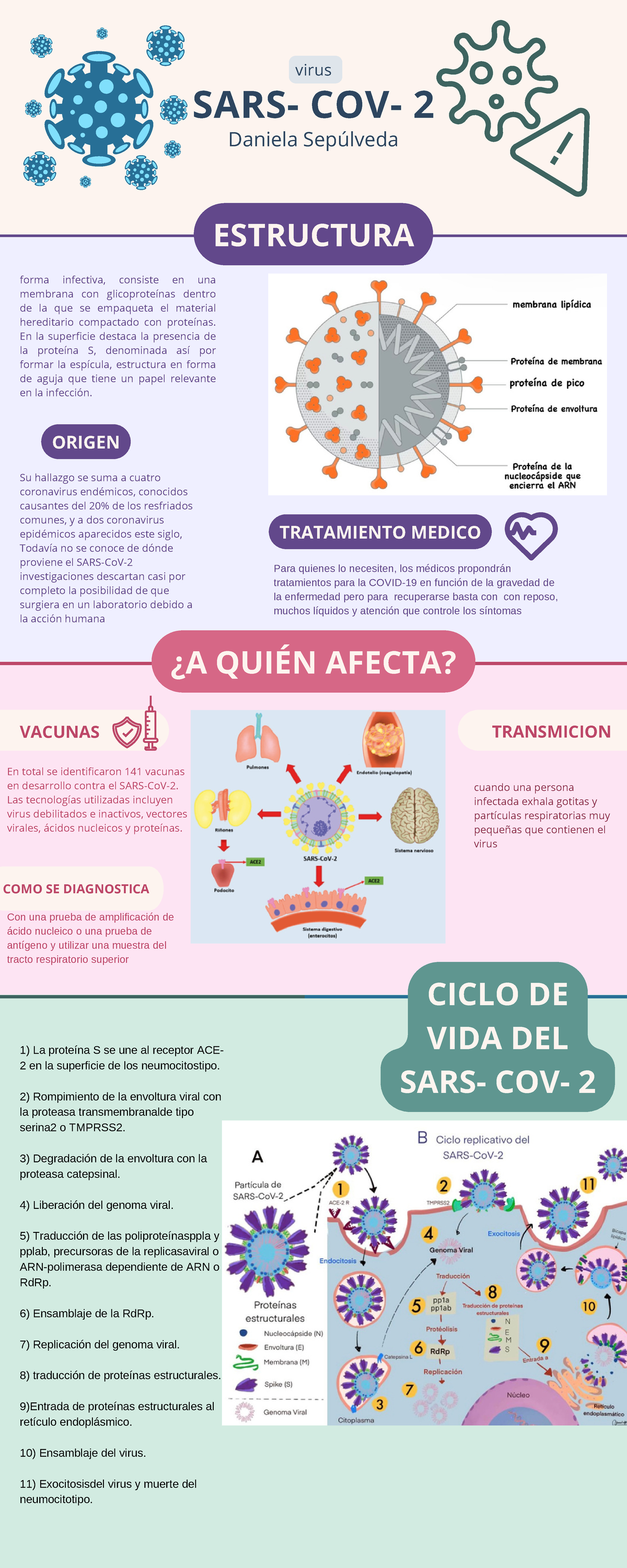 SARS- co V-2 - Infografia - COMO SE DIAGNOSTICA ESTRUCTURA forma ...