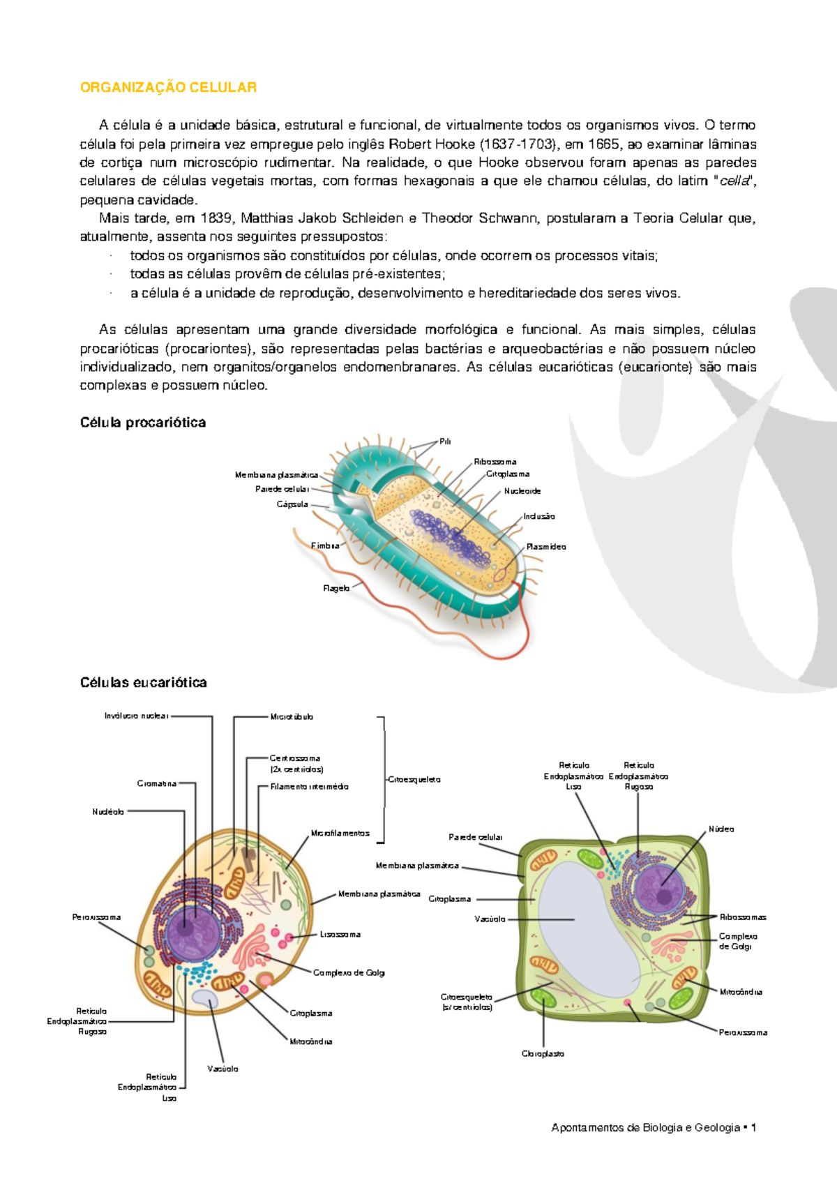 BIO10 - Biosfera - muito completo - ORGANIZAÇÃO CELULAR A célula é a ...