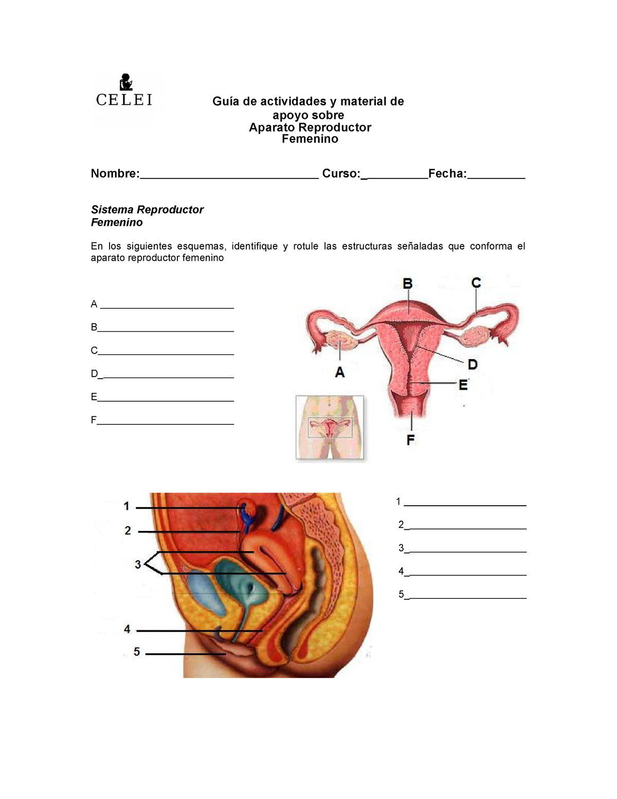 Bio 7 Actividades Aparato Reproductor 2022 Guía De Actividades Y Material De Apoyo Sobre 