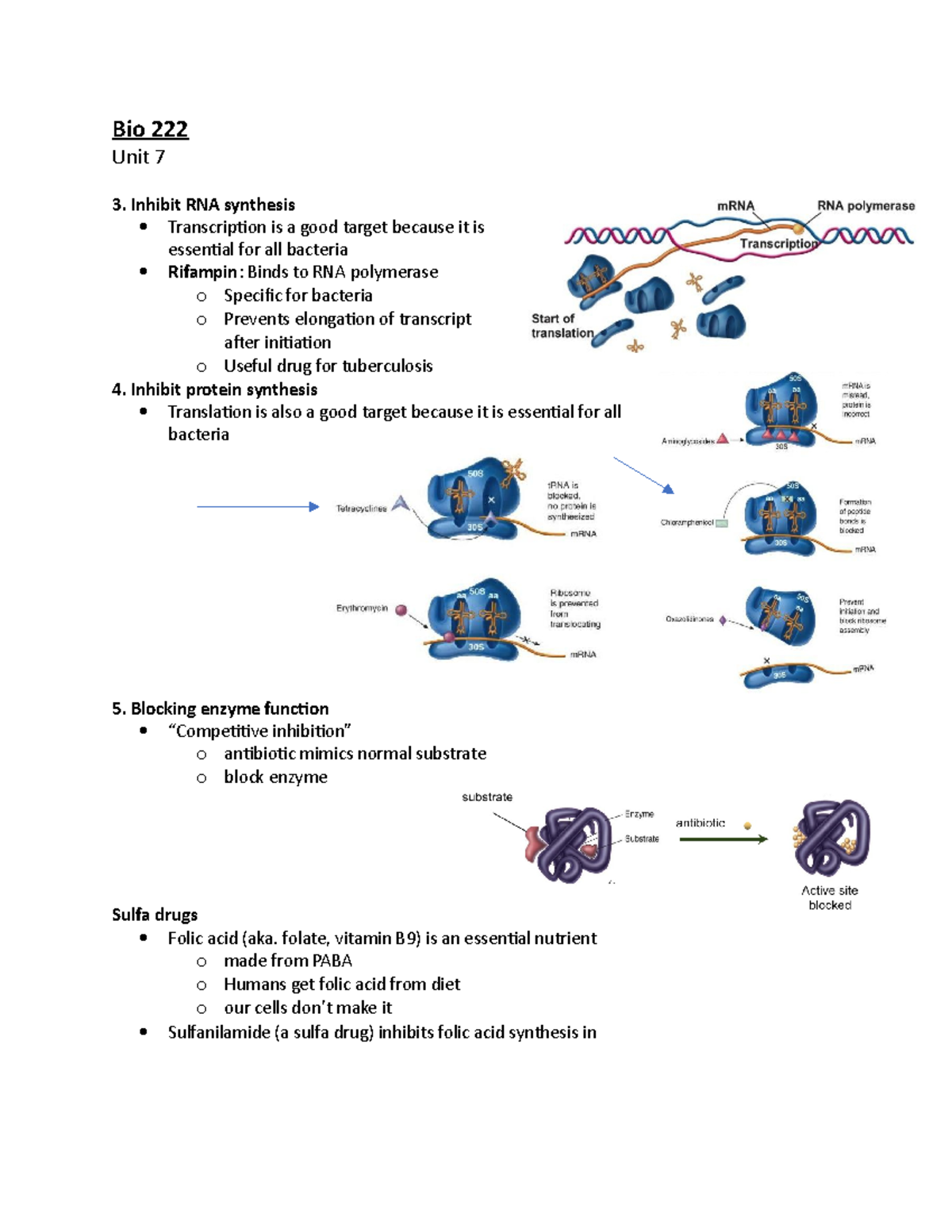 Bio 222 unit 7 - Lecture notes 7 - Bio 222 Unit 7 Inhibit RNA synthesis ...