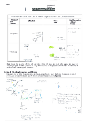Protien Anaylsis Lab - Name: Instructor & Section: Protein Analysis Lab ...