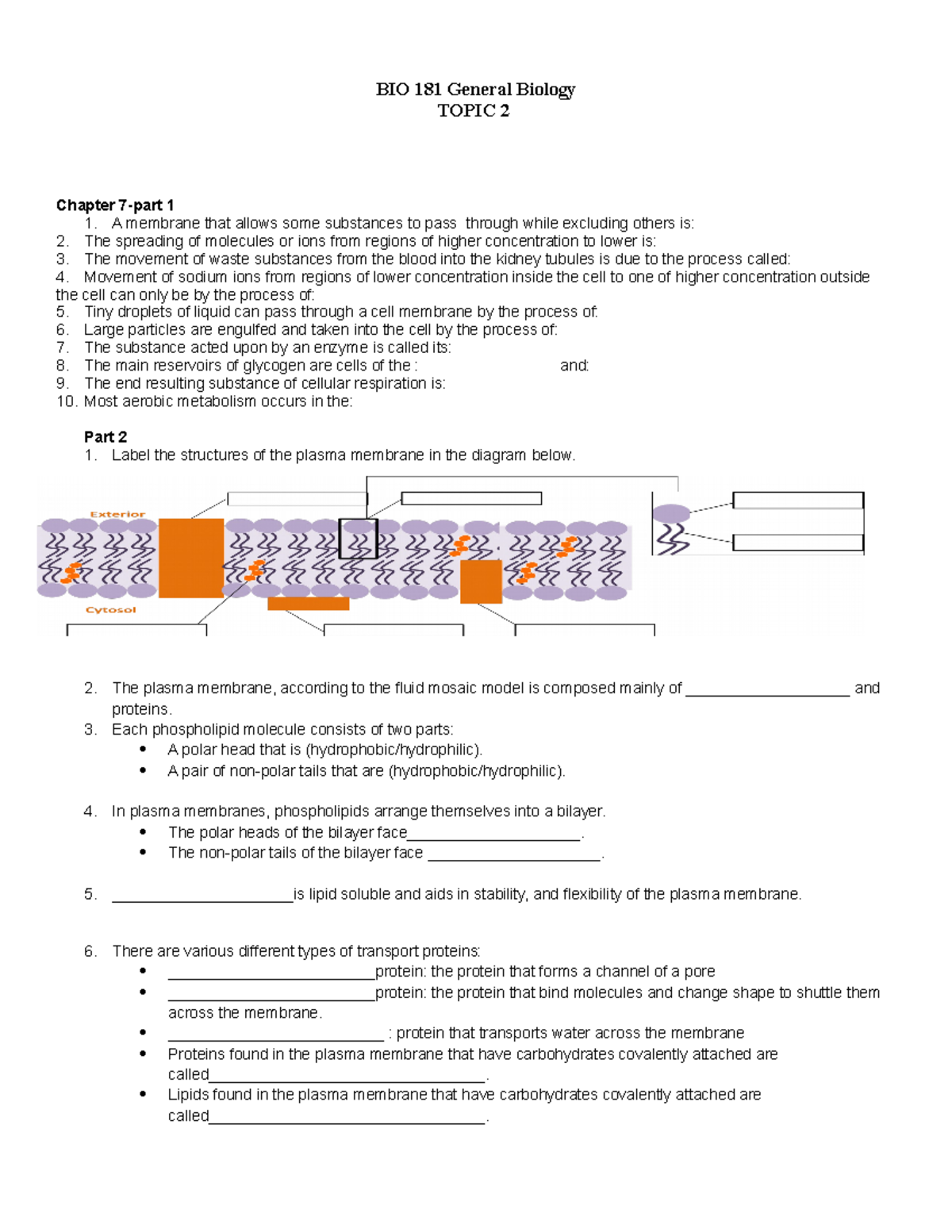 biology chapter 7 homework answers