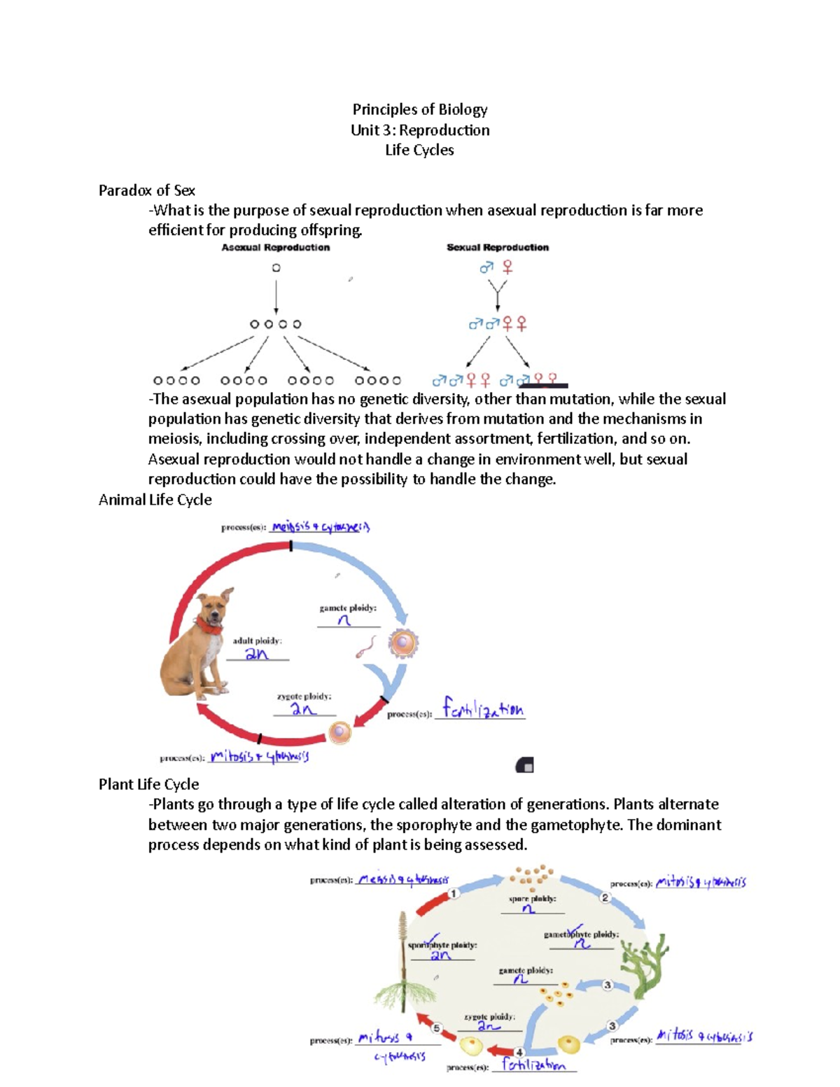 Ap Biology Life Cycles Principles Of Biology Unit 3 Reproduction