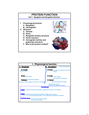 Basic Bio Chemistry 7 - Biochem Notes Pt 7 - ₓ IV. Levels Of Protein ...