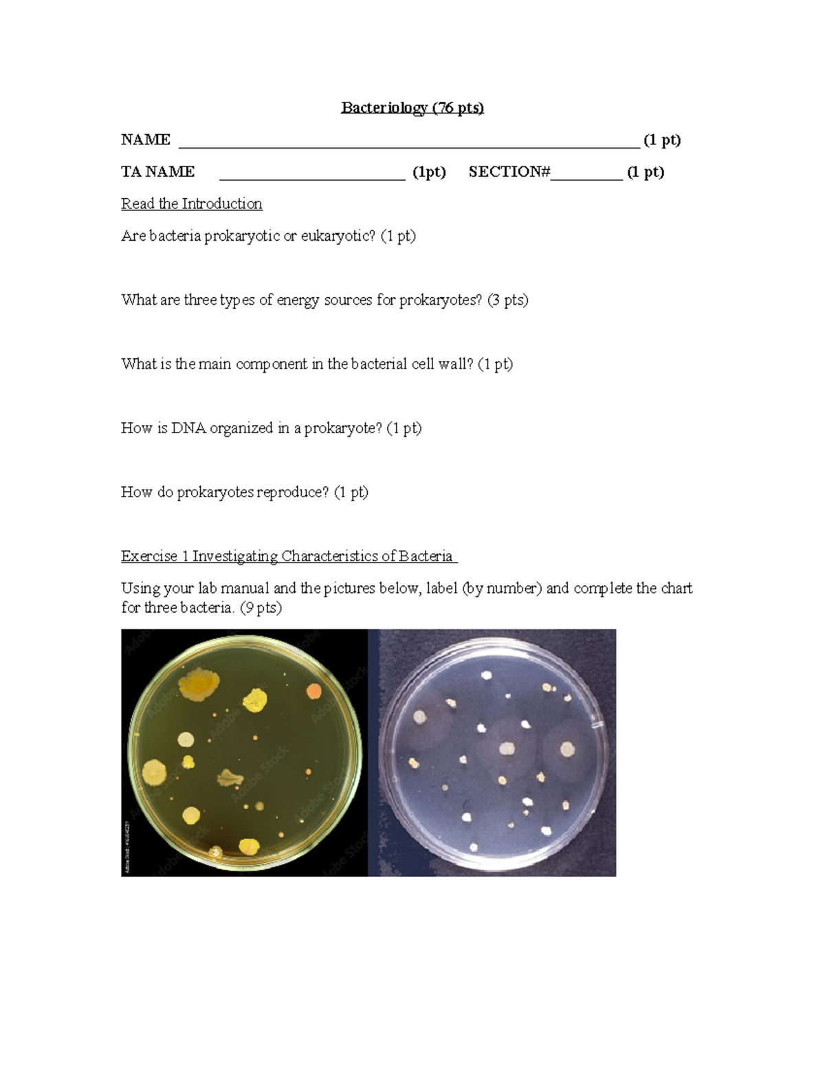 Bacteriology F22 Worksheet Bacteriology (76 pts) NAME Studocu