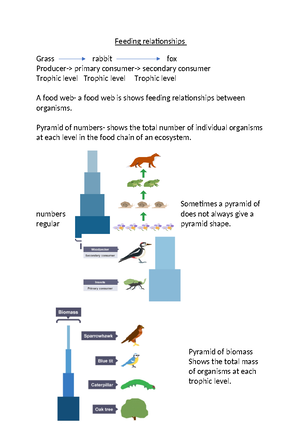 Allen's rule - overview of allen's rule - According to Allen’s rule ...