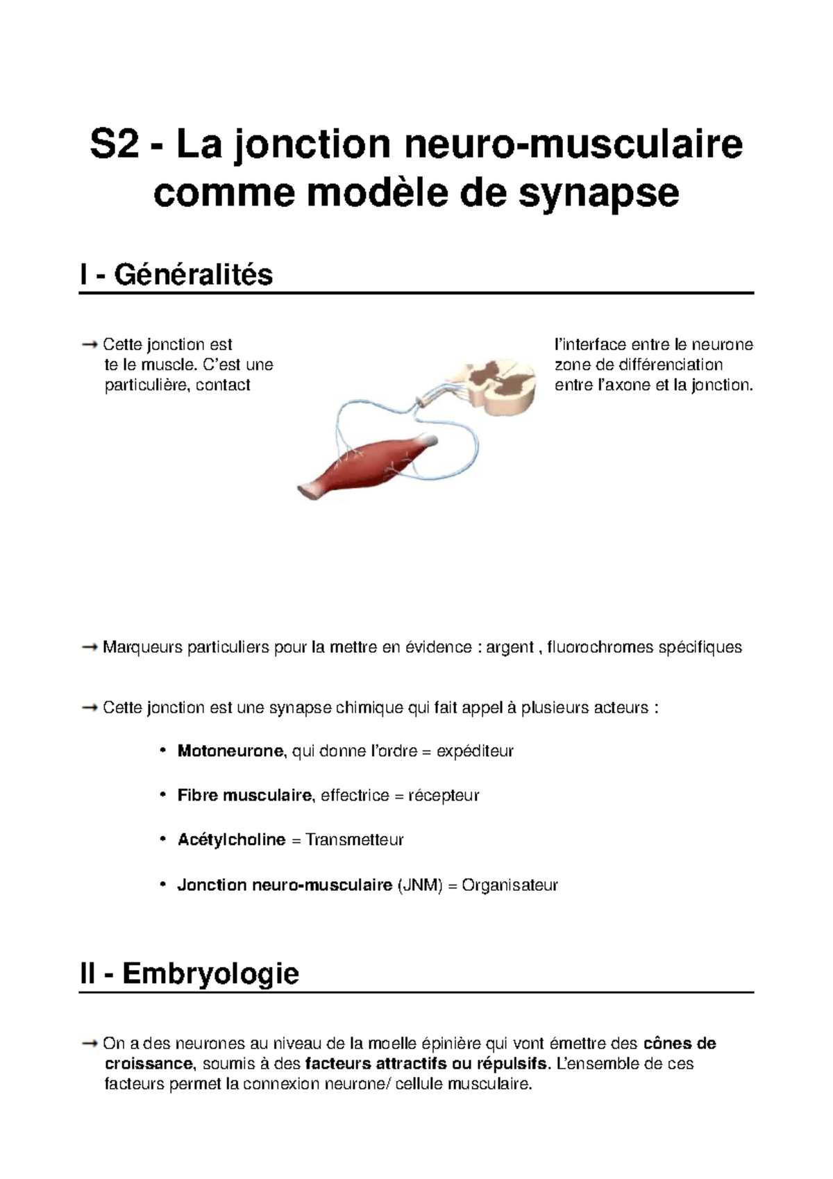 S2 Jnm Ce Sont Mes Notes De Cours Studocu