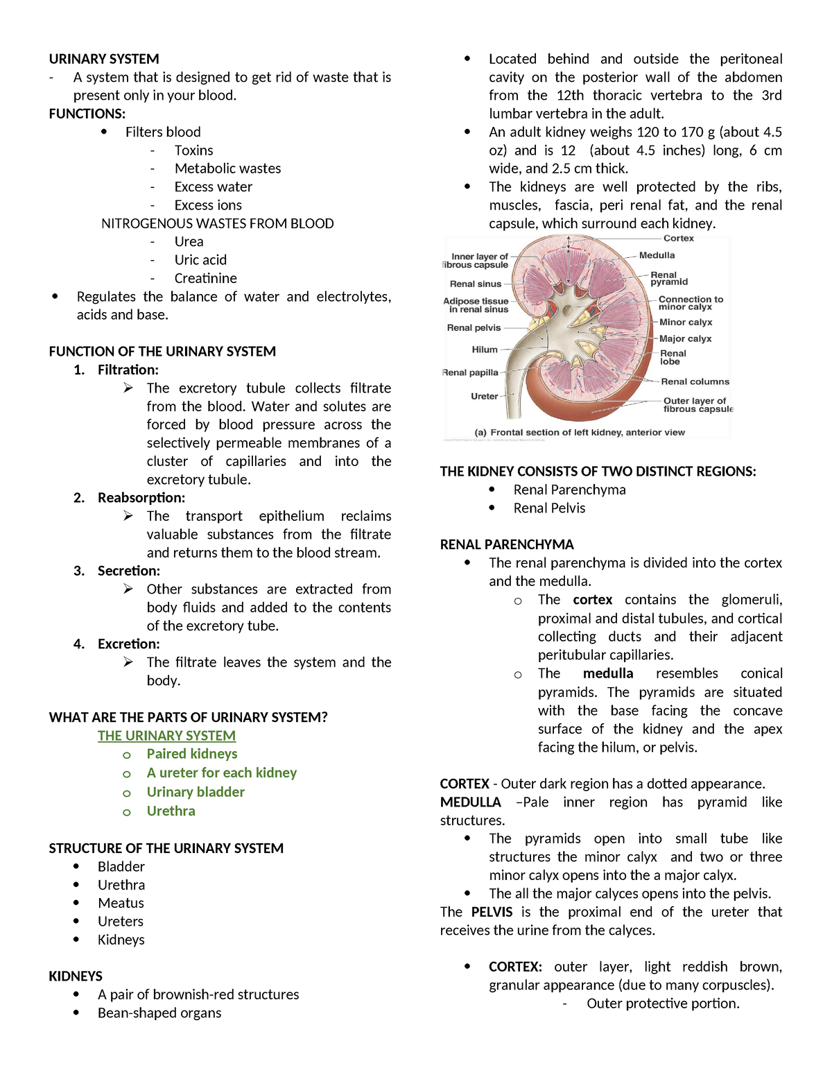 Urinary System - URINARY SYSTEM A system that is designed to get rid of ...