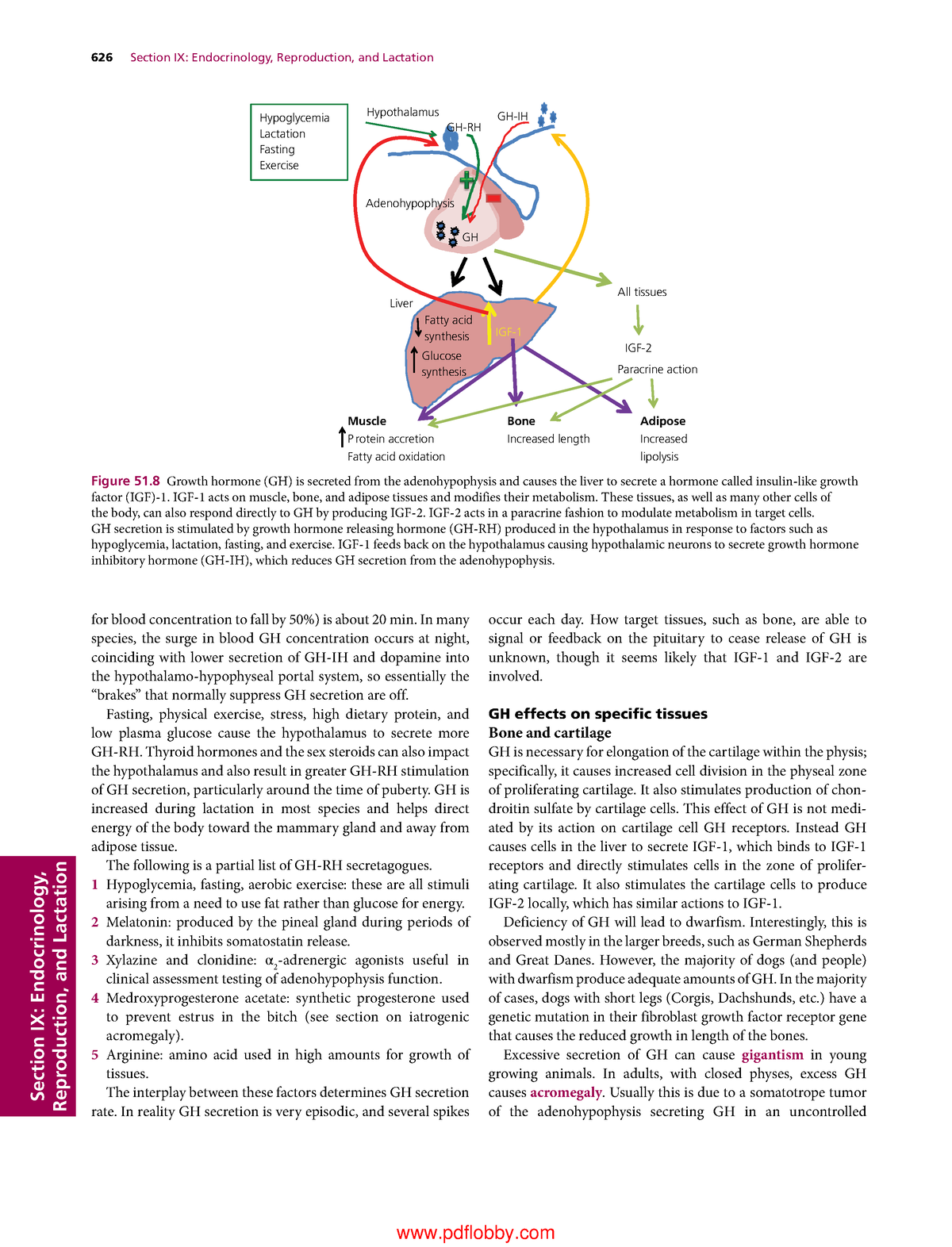 Text Book-640 - Tugas Pdf Biologi - 626 Section IX: Endocrinology ...