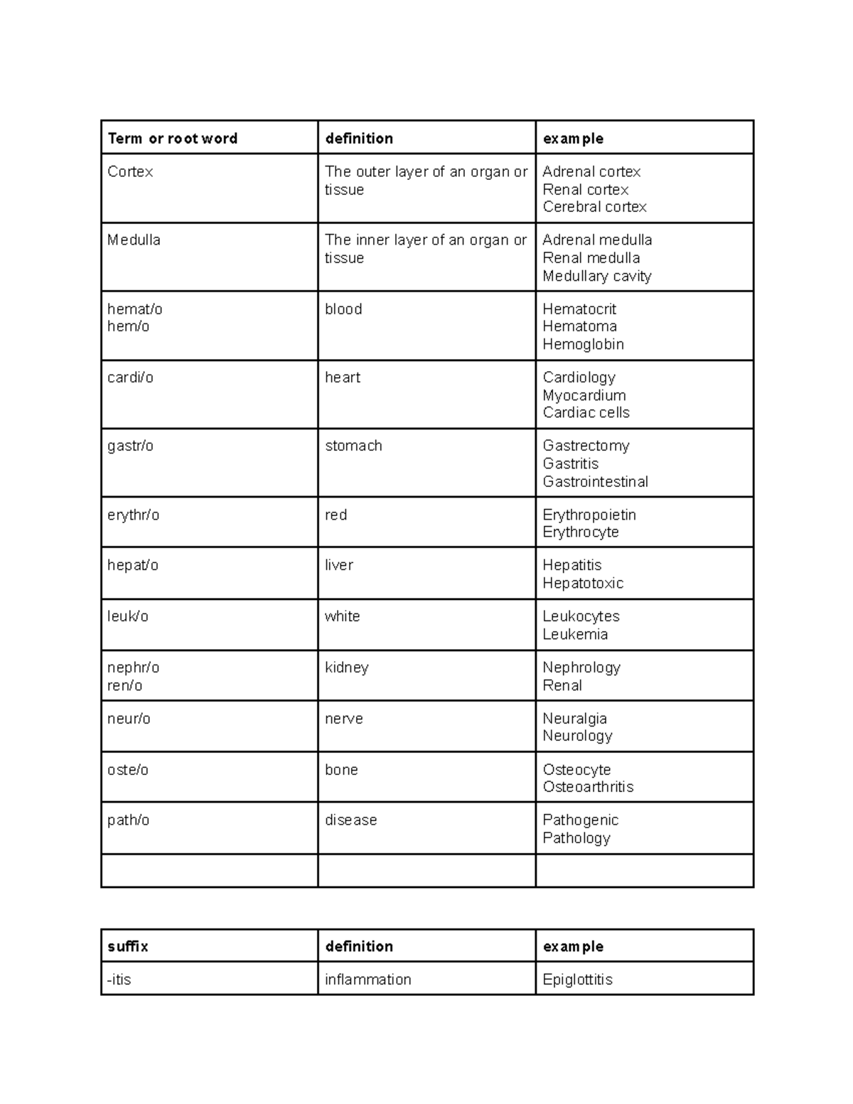 medical-terminology-term-or-root-word-definition-example-cortex-the