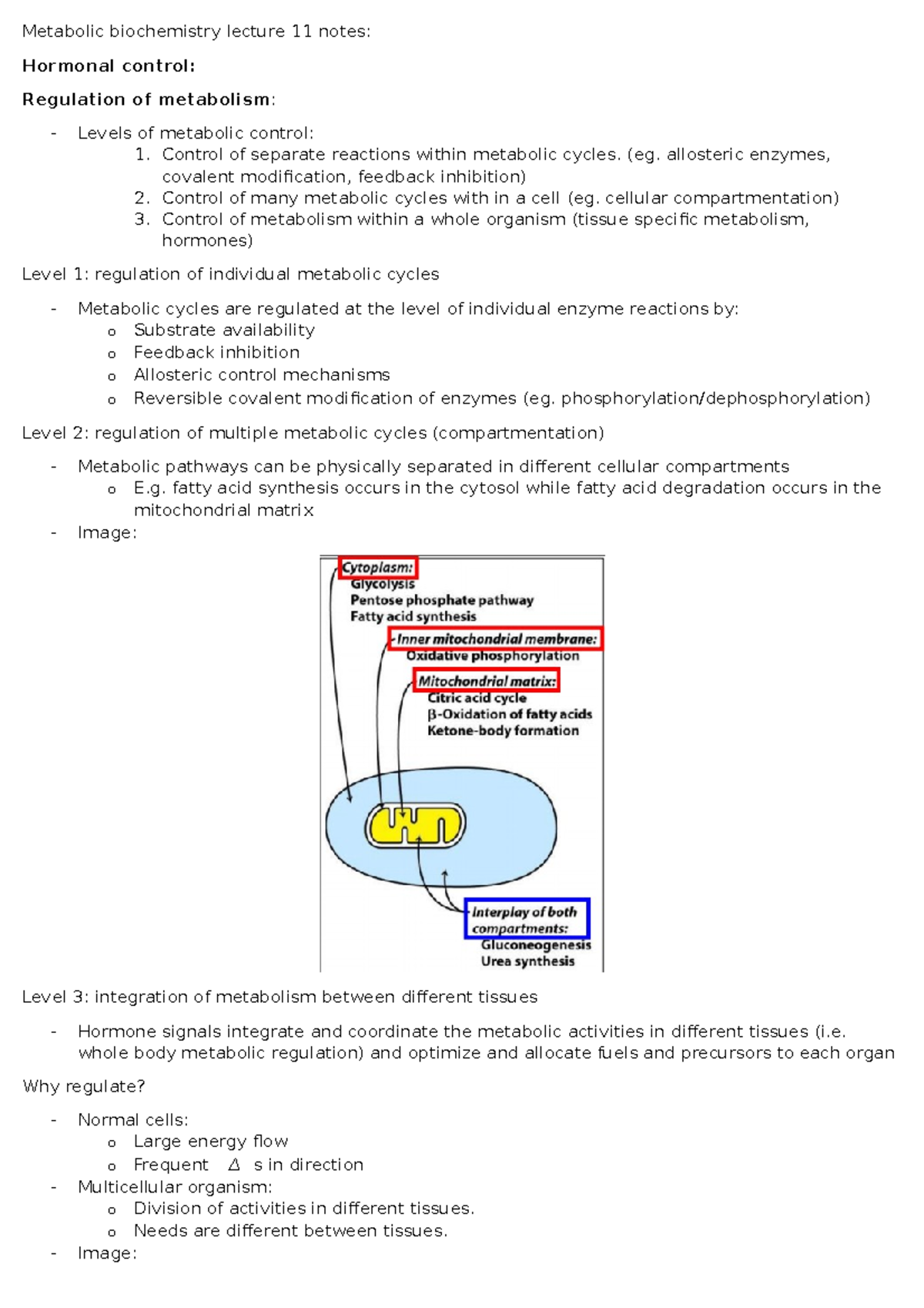 Metabolic biochemistry lecture 11 notes - (eg. allosteric enzymes ...