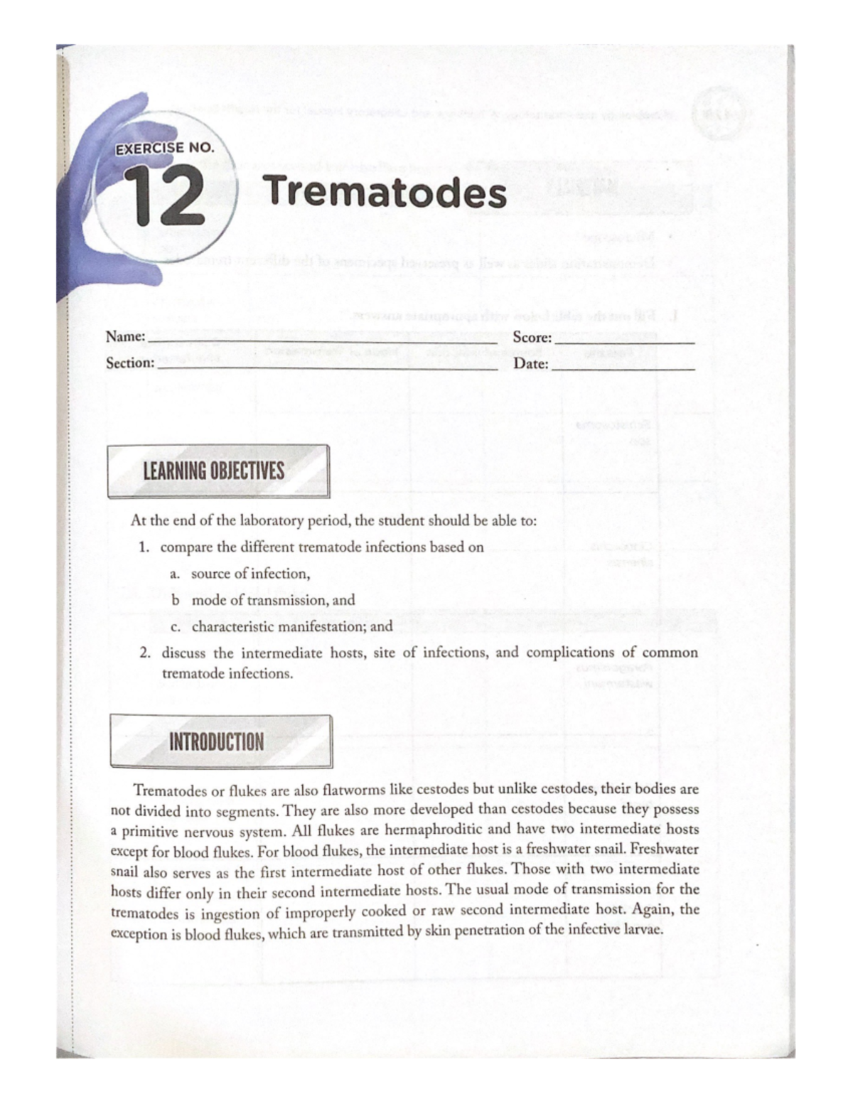 assignment - none - Instructional Adaptations in Mathematics and ...