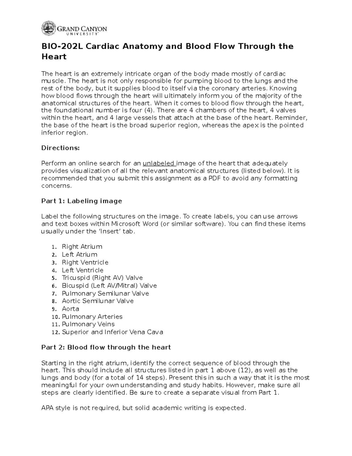 BIO 202L RS Activity 1Cardiac Anatomy And Blood Flow Onground - BIO ...