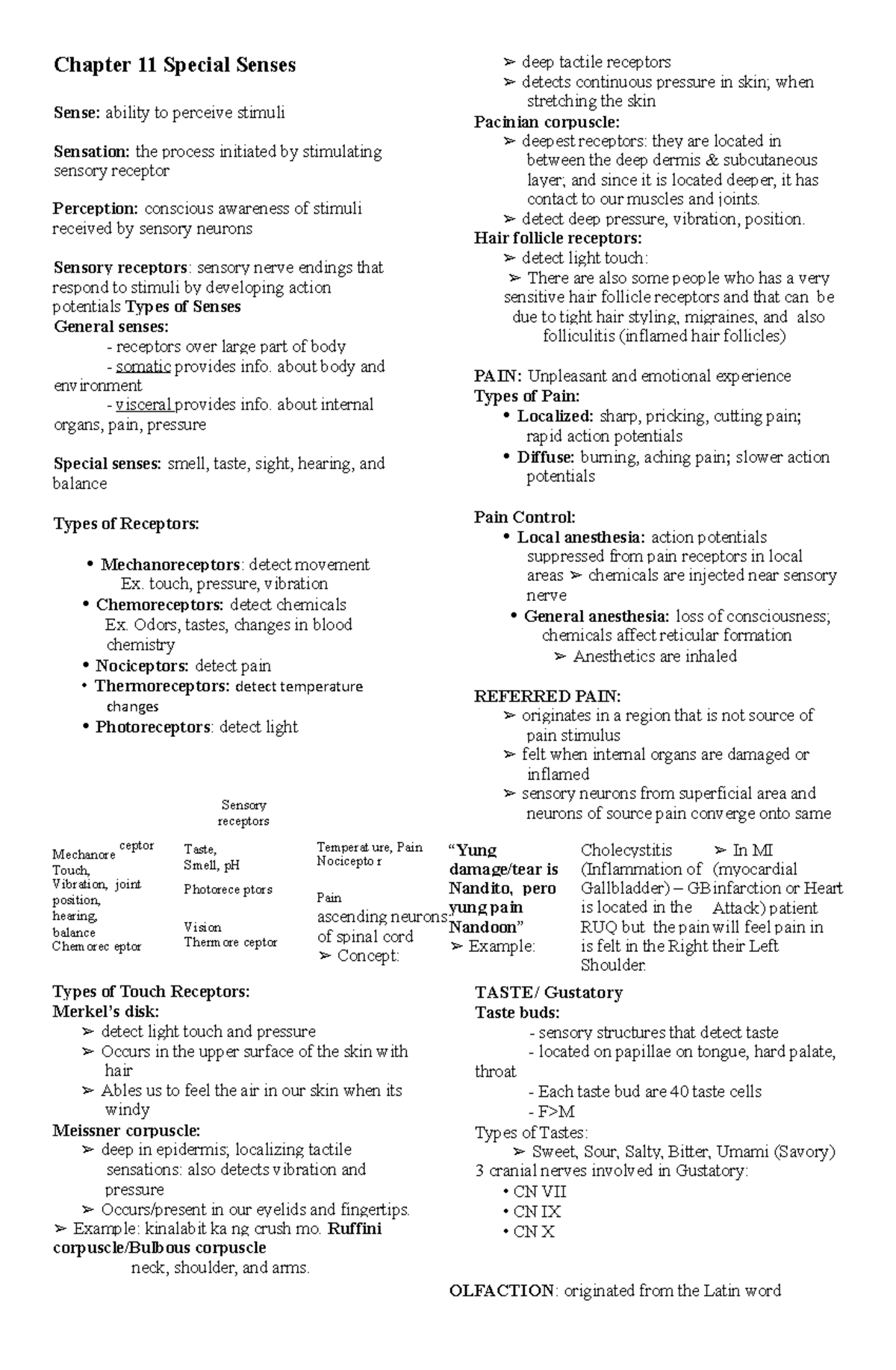 Senses - Notes - Chapter 11 Special Senses Sense: ability to perceive ...