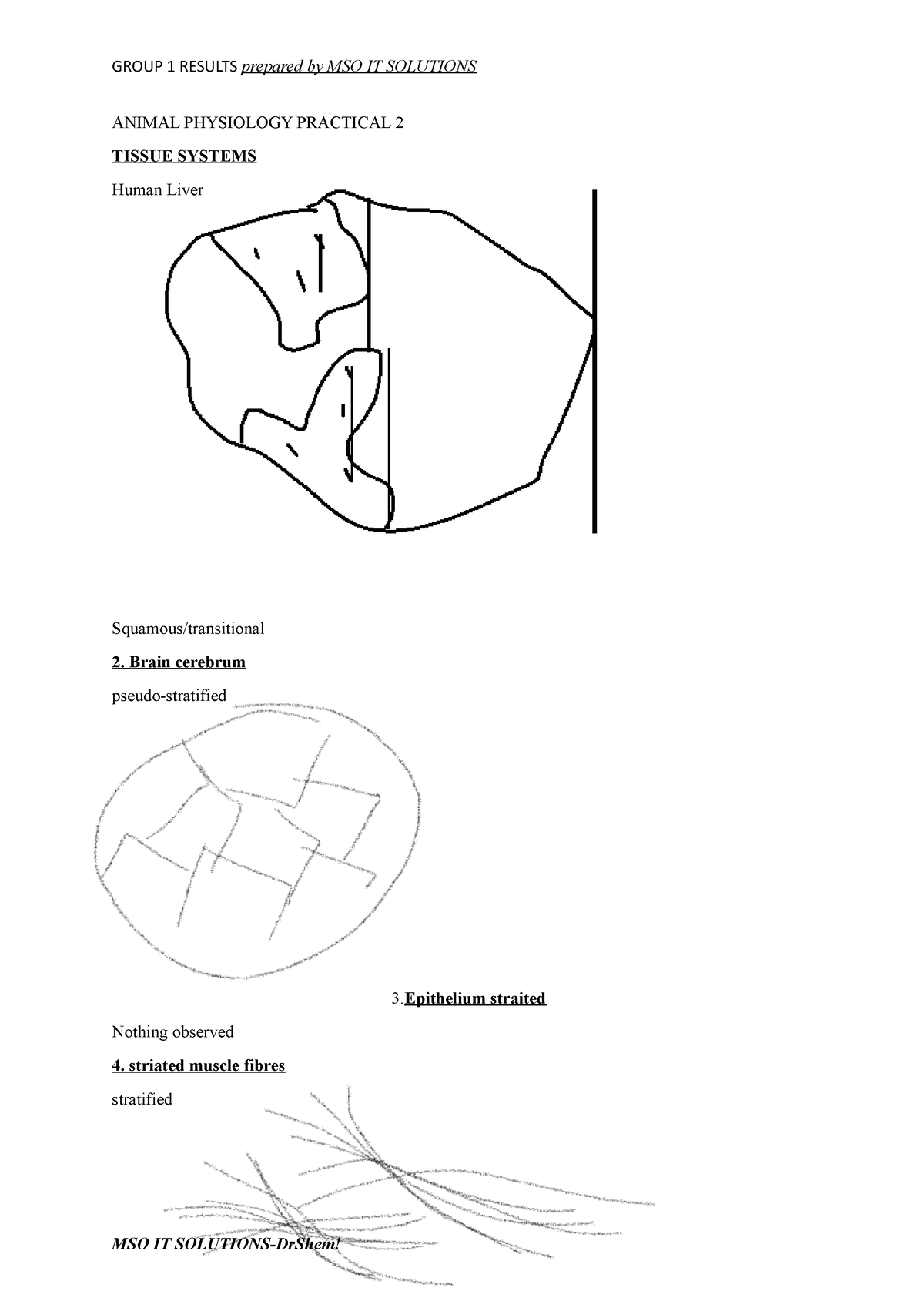 animal-physiology-practical-2-group-1-results-prepared-by-mso-it