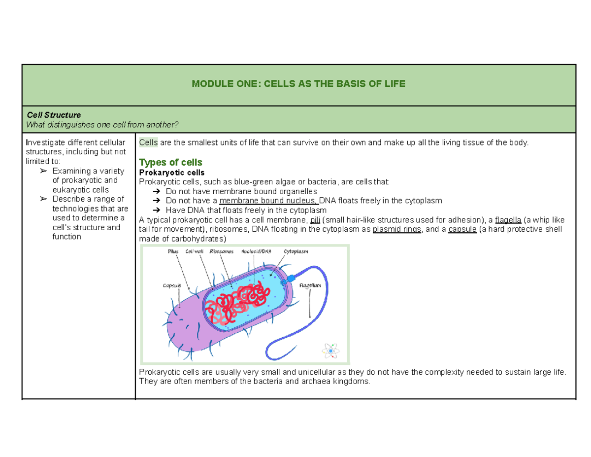 Prelim Biology Module ONE Cells AS THE Basis OF LIFE - MODULE ONE ...