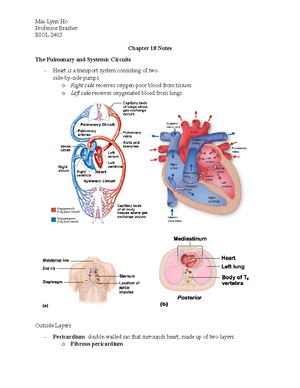 Anatomy And Physiology 2 Notes 3 Edii - Anatomy And Physiology 2 ...