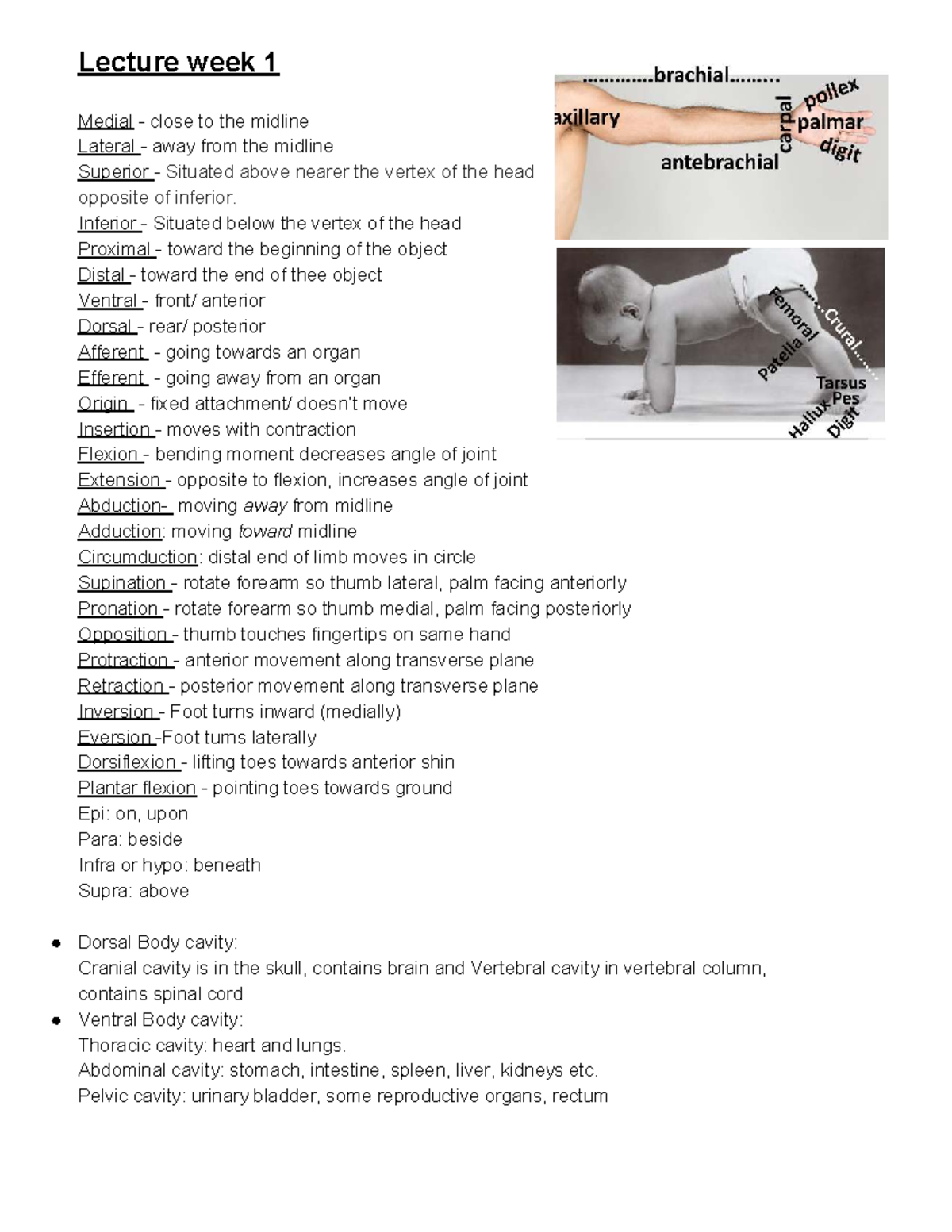 Medi100 notes summaries of lectures 1 13 - Lecture week 1 Medial ...