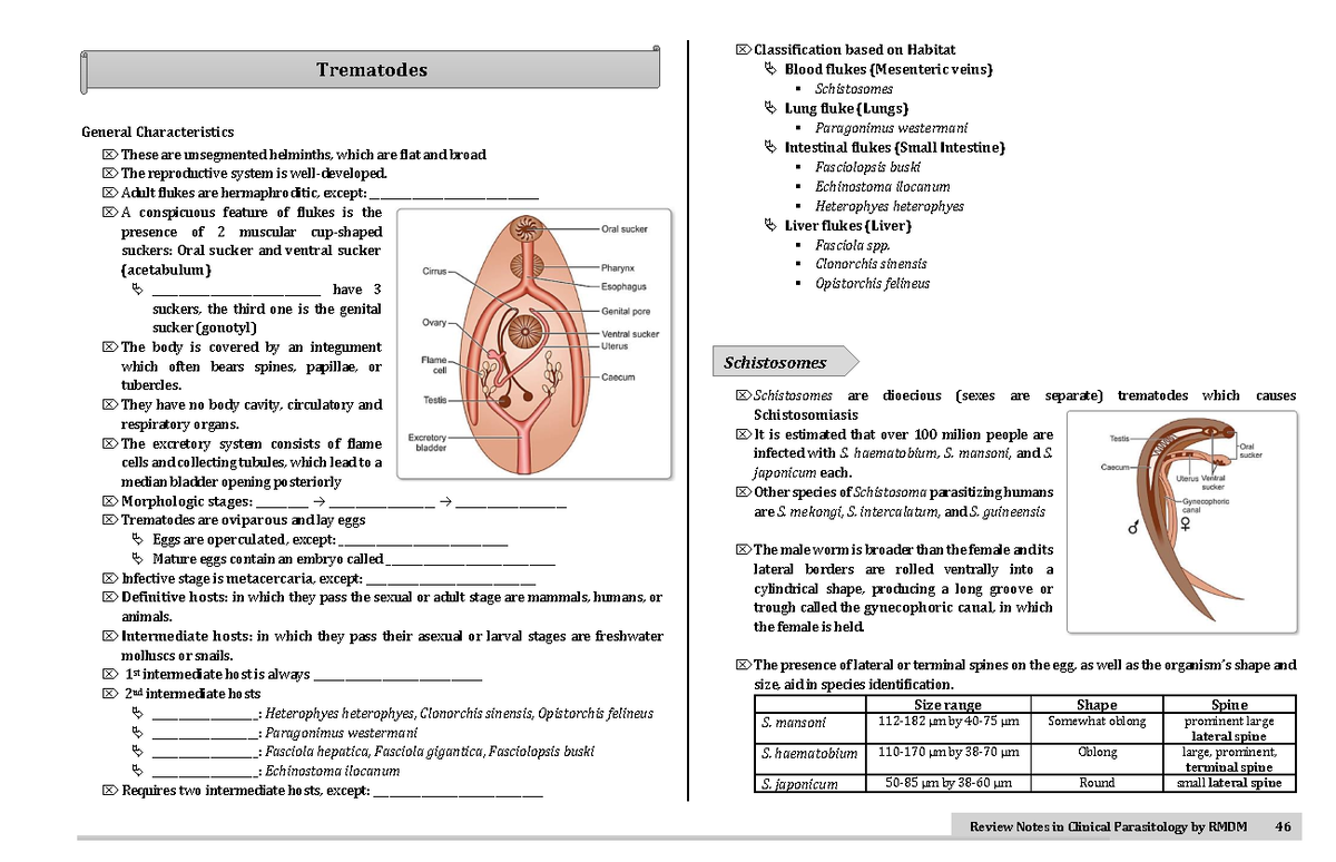 Trematodes - General Characteristics These are unsegmented helminths ...