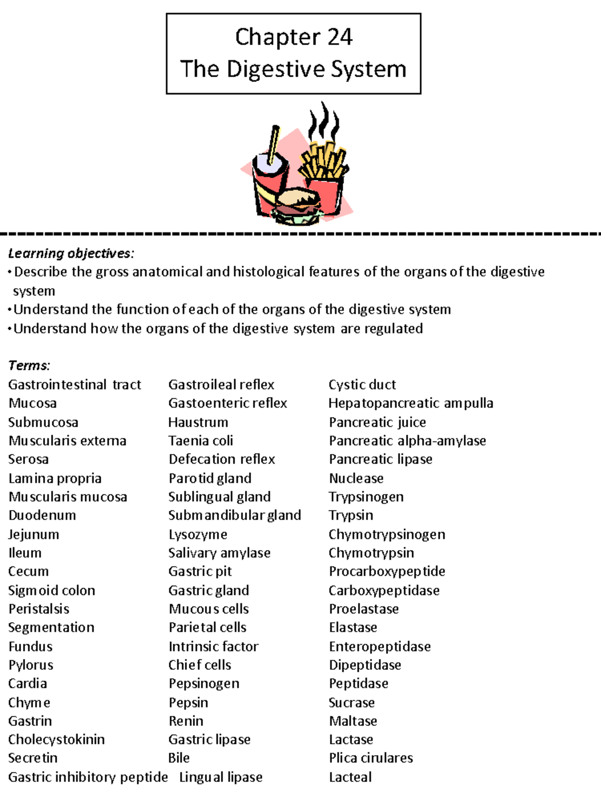 Chapter 24- The Digestive System - Chapter 24 The Digestive System ...