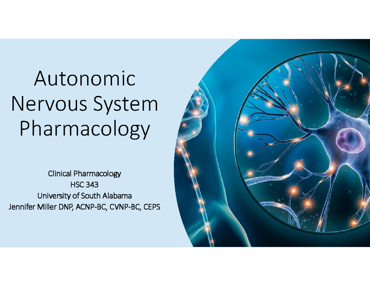 Autonomic Nervous System Pharmacology - Autonomic Nervous System ...