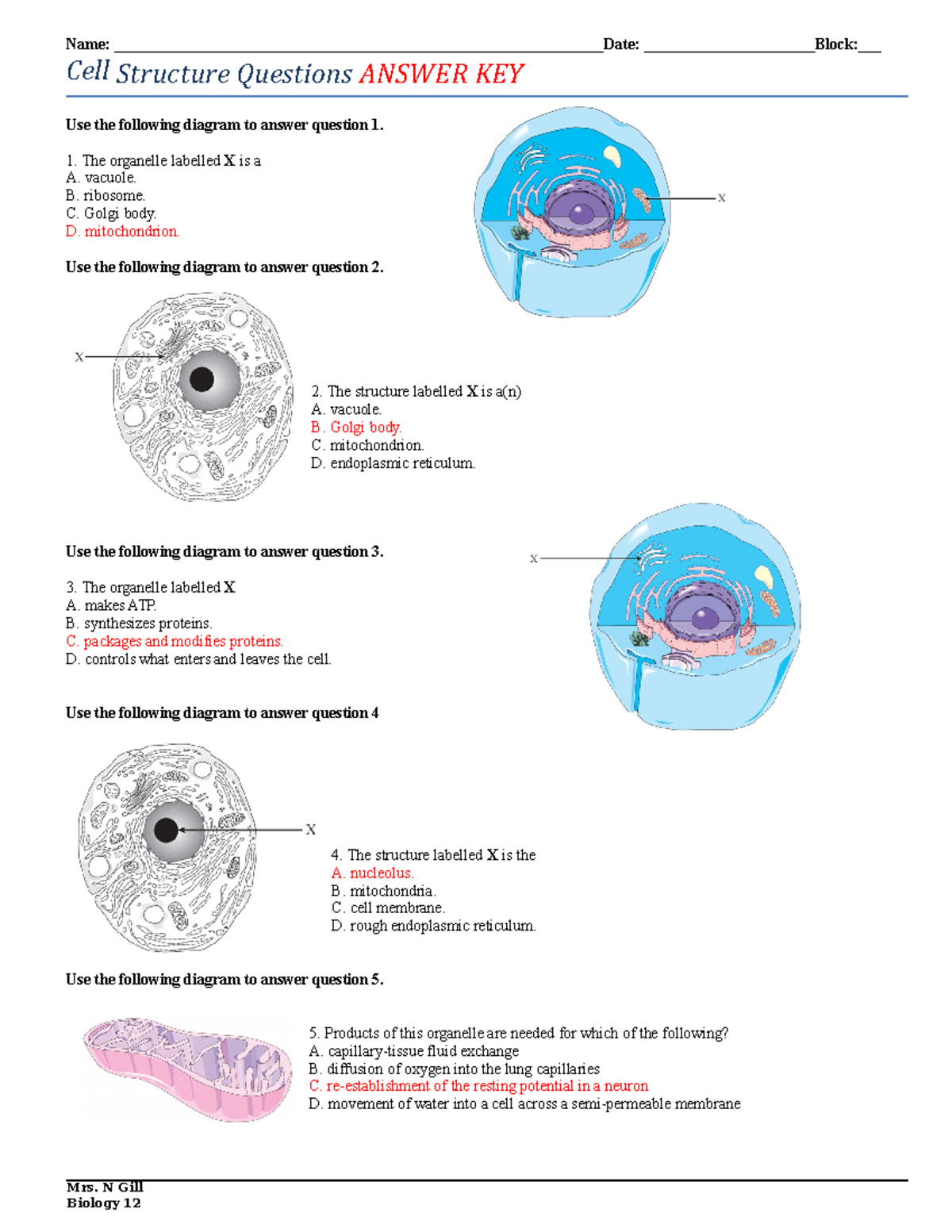 03 - cell structure - Cell Structure Questions ANSWER KEY Use the ...