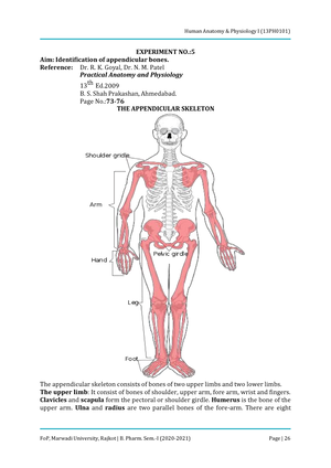 Senior Class AP Help Guides: Physiology -Worksheet- Bones of the Pectoral Girdle  and Upper Limb
