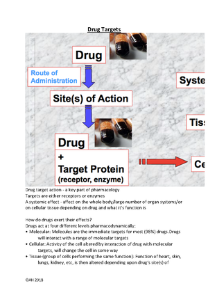 Study Guide - 2 - In Depth - ADME Principles: Absorption and ...
