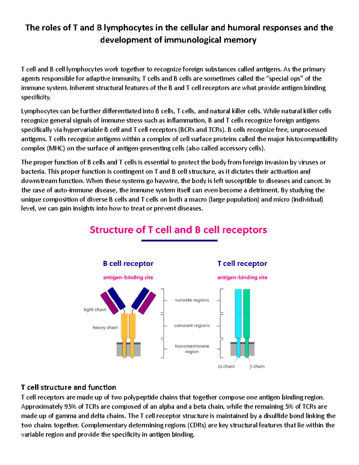 The roles of T and B lymphocytes in the cellular and humoral responses ...