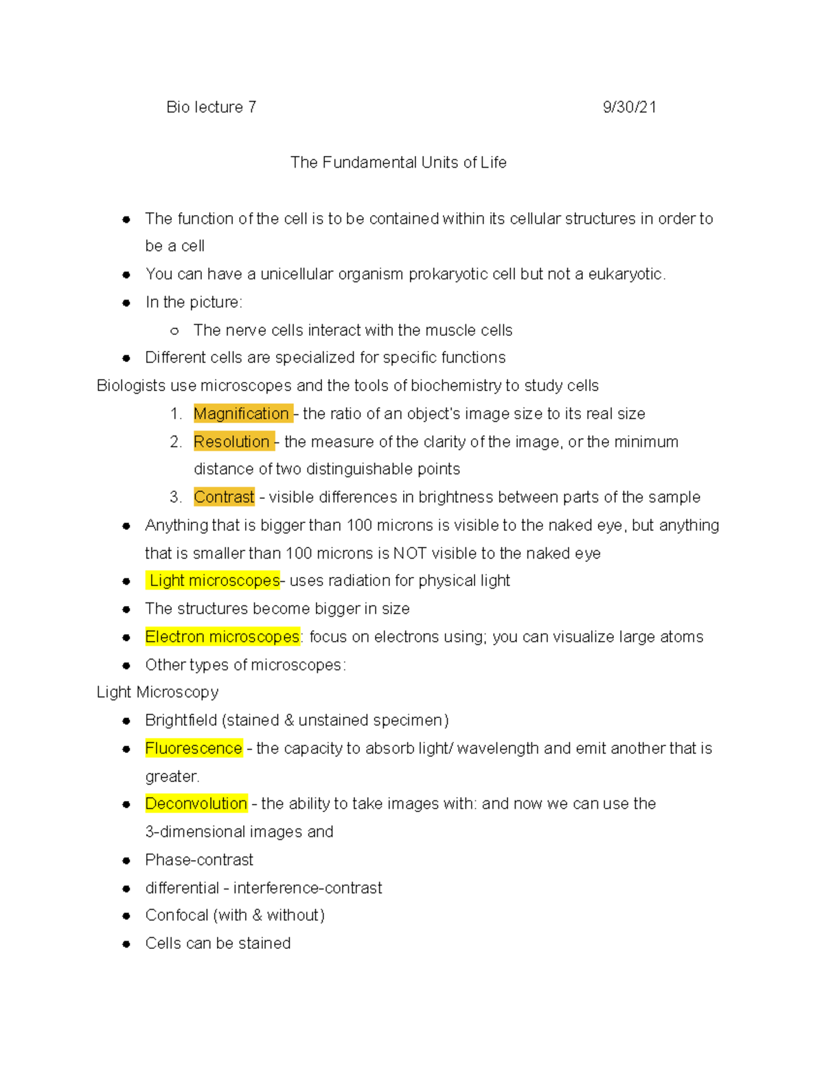 how-are-nerve-cells-adapted-to-their-function-science-questions